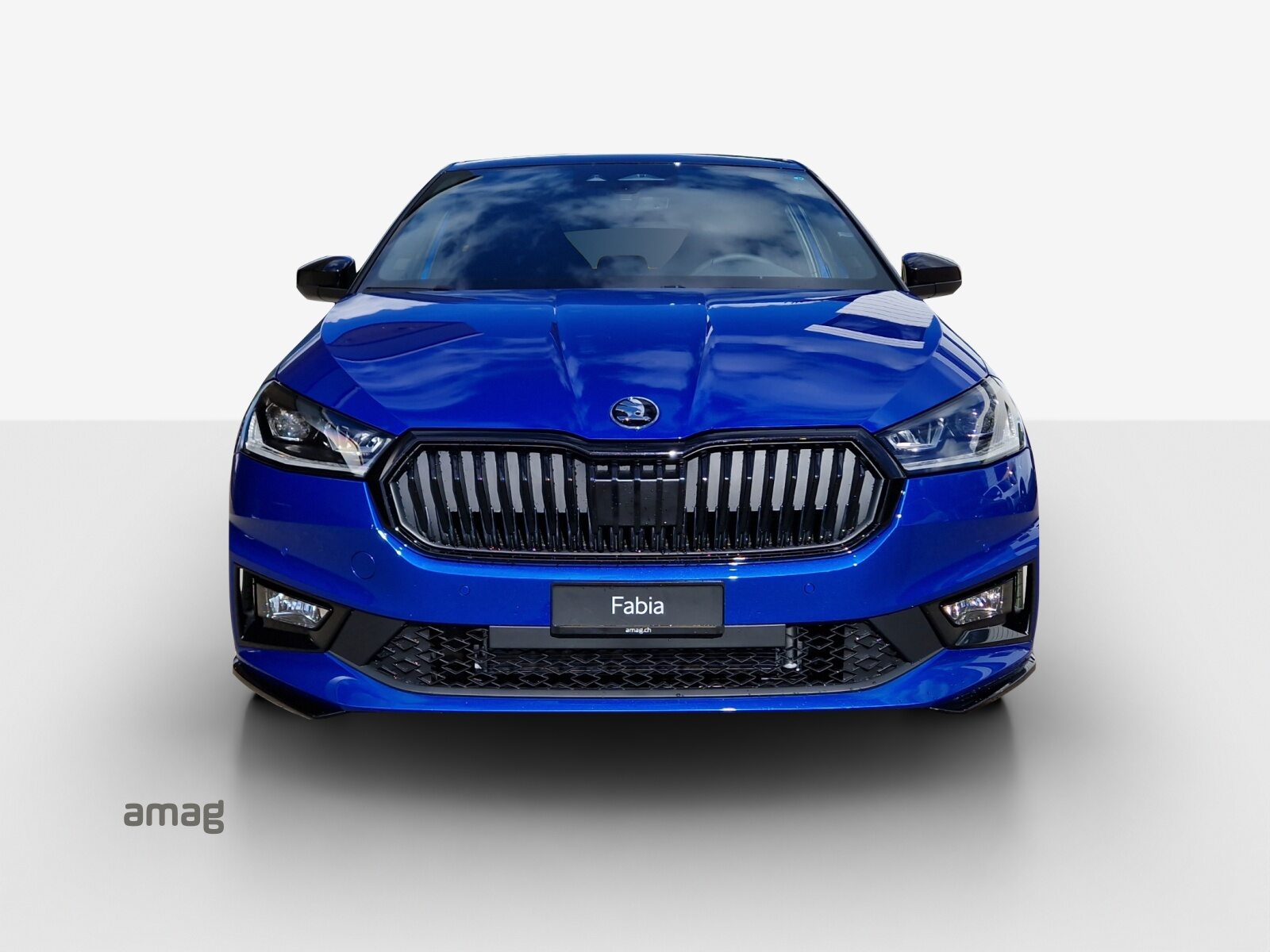 SKODA Fabia Monte Carlo, Petrol, New car, Automatic - 7
