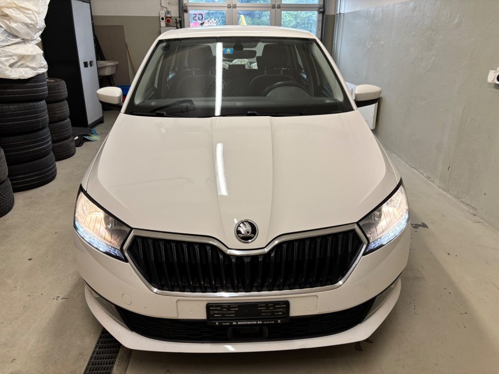 SKODA FABIA 1.0 TSI Style, Benzina, Occasioni / Usate, Manuale - 2