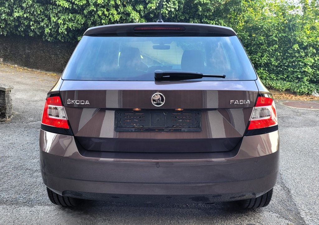 SKODA FABIA 1.2 TSI Swiss Joy DSG Automat, Petrol, Second hand / Used, Automatic - 5