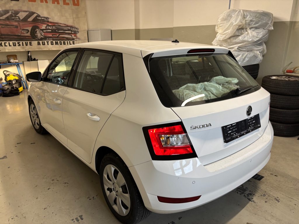 SKODA FABIA 1.0 TSI Style, Benzina, Occasioni / Usate, Manuale - 7