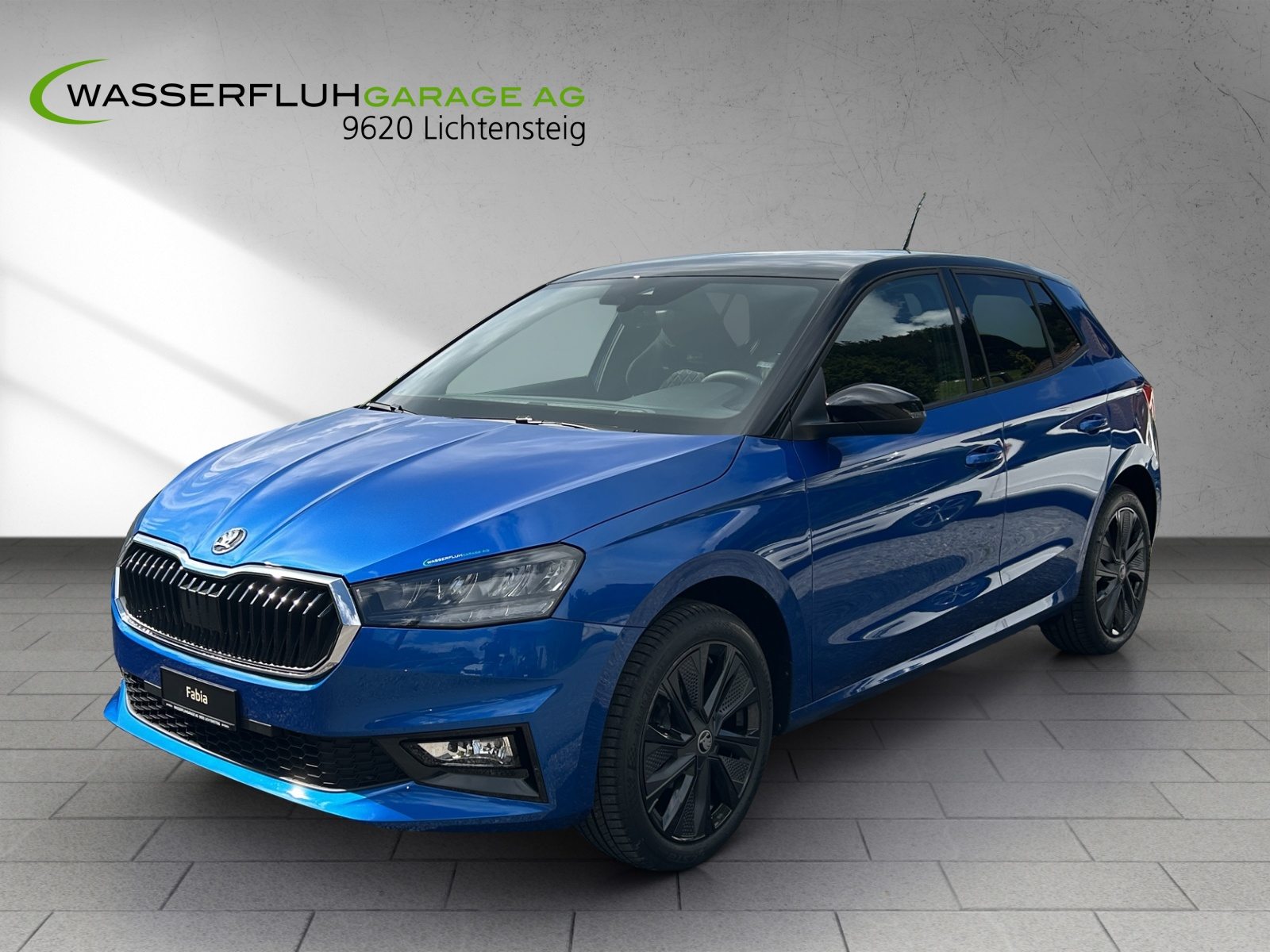 SKODA Fabia Selection, Benzina, Occasioni / Usate, Manuale - 2