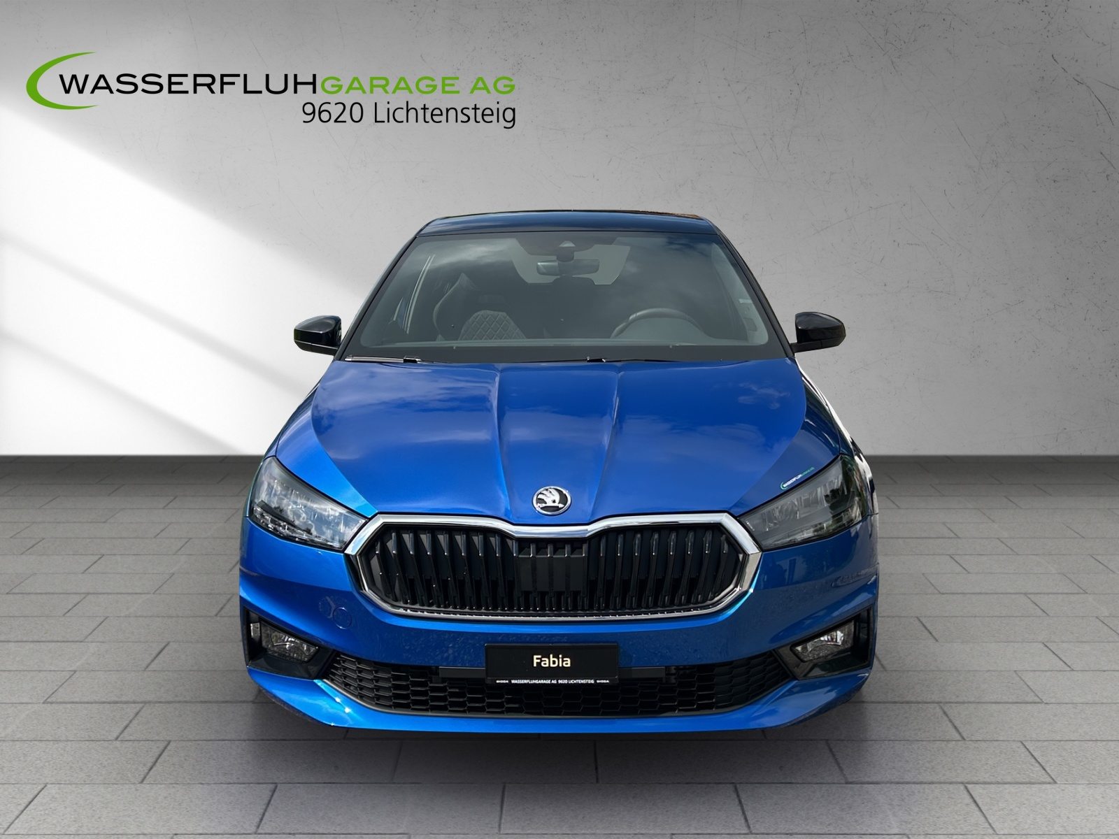 SKODA Fabia Selection, Benzina, Occasioni / Usate, Manuale - 5