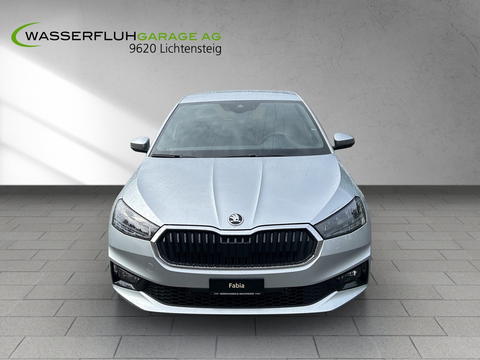 SKODA Fabia Selection