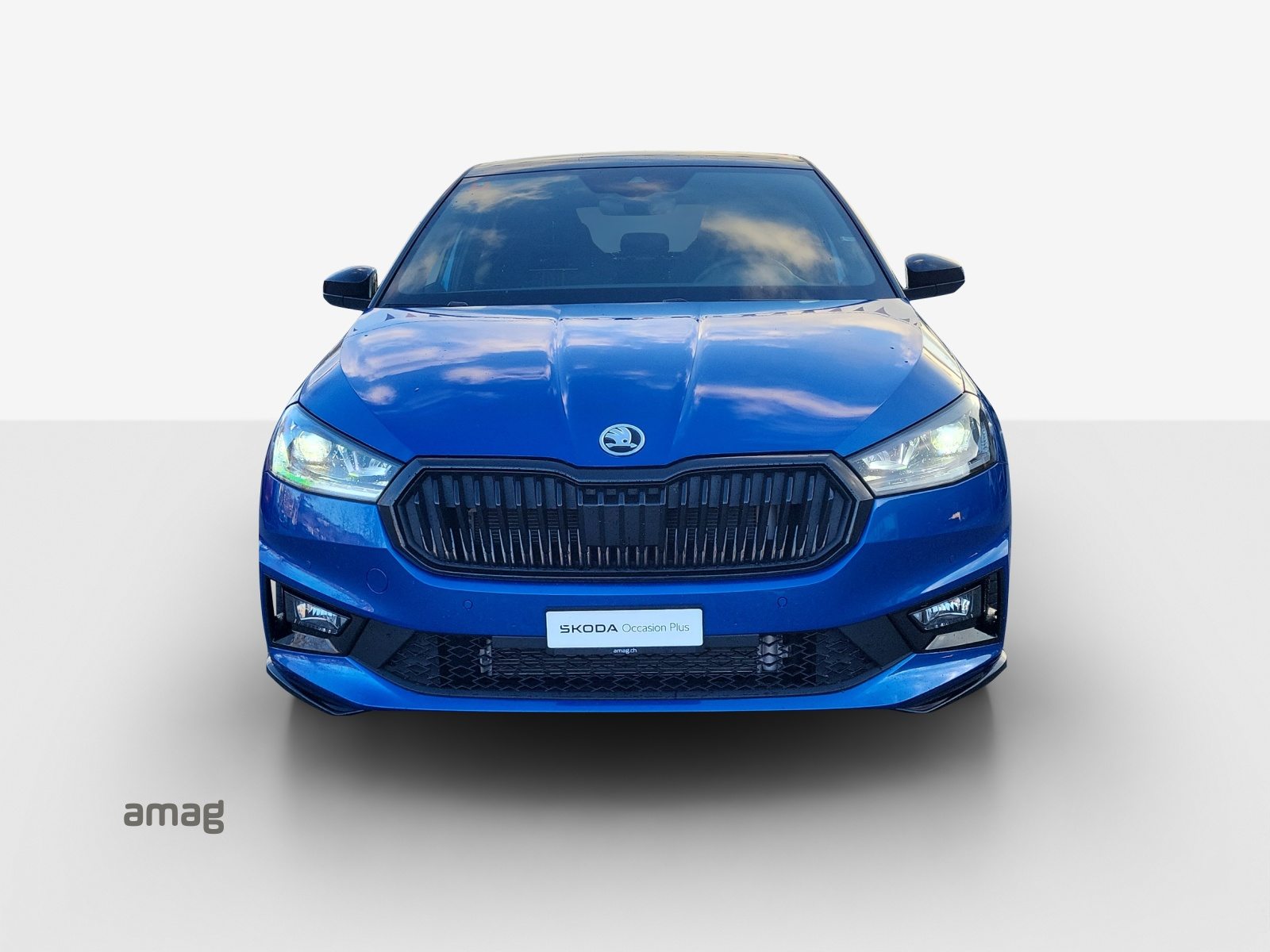 SKODA Fabia Monte Carlo, Benzin, Occasion / Gebraucht, Automatik - 7