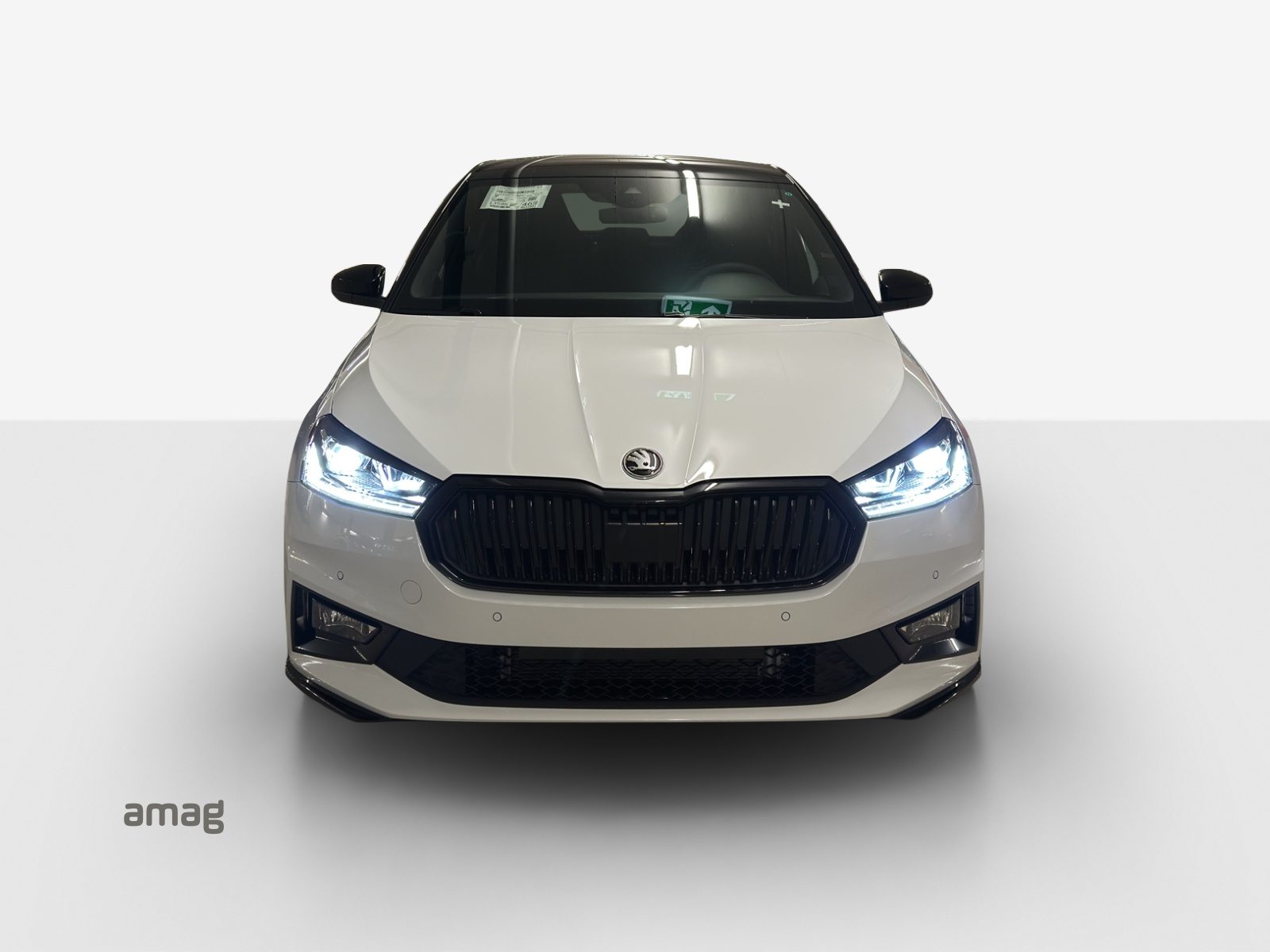 SKODA Fabia Monte Carlo, Essence, Occasion / Utilisé, Automatique - 7