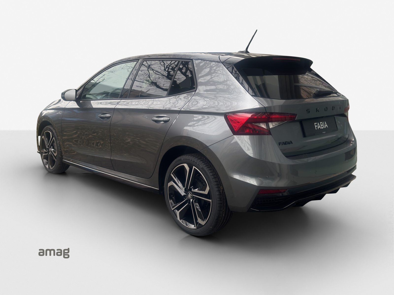 SKODA Fabia Monte Carlo, Benzina, Occasioni / Usate, Automatico - 3
