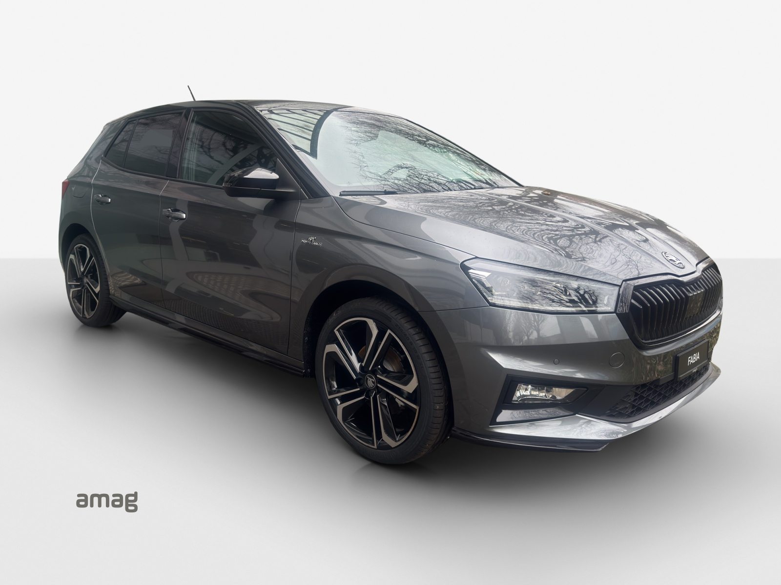 SKODA Fabia Monte Carlo, Benzina, Occasioni / Usate, Automatico - 4