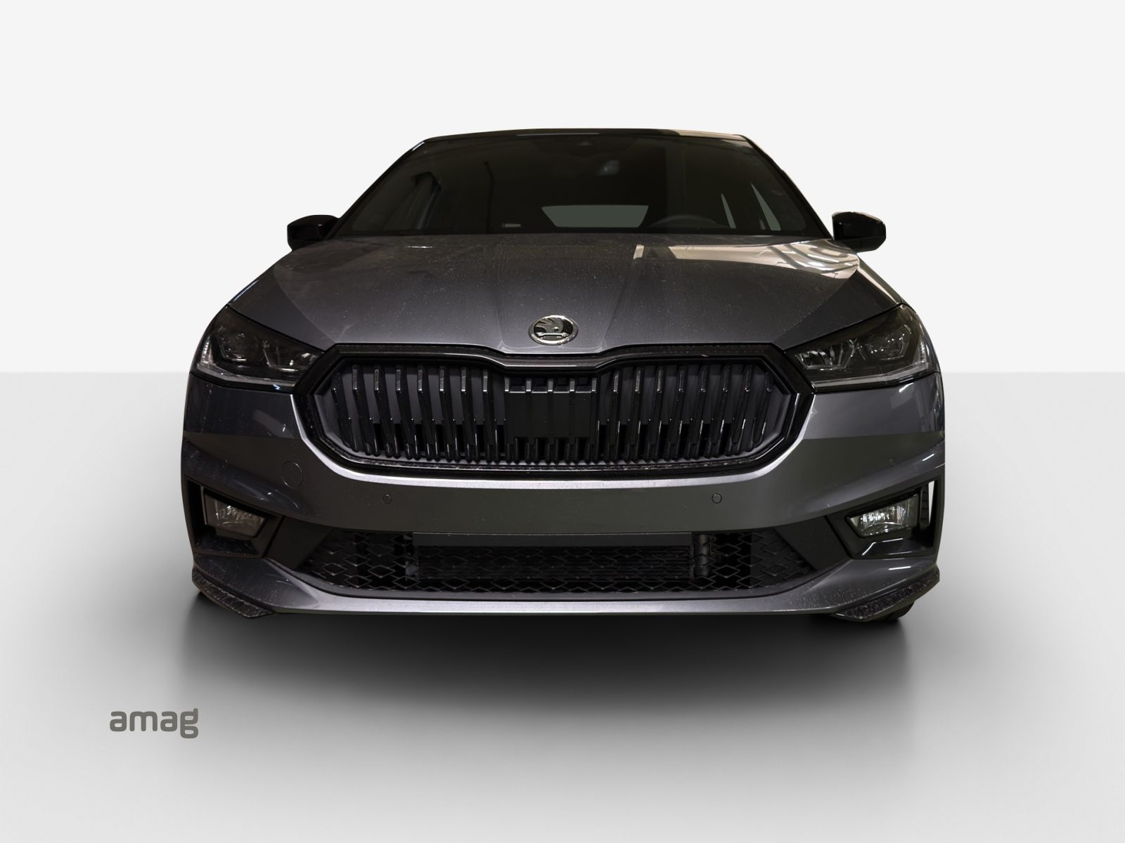 SKODA Fabia Monte Carlo, Benzina, Occasioni / Usate, Automatico - 7