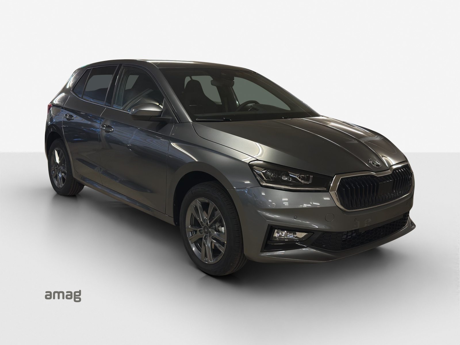 SKODA Fabia Dynamic (Netto), Essence, Occasion / Utilisé, Automatique - 6