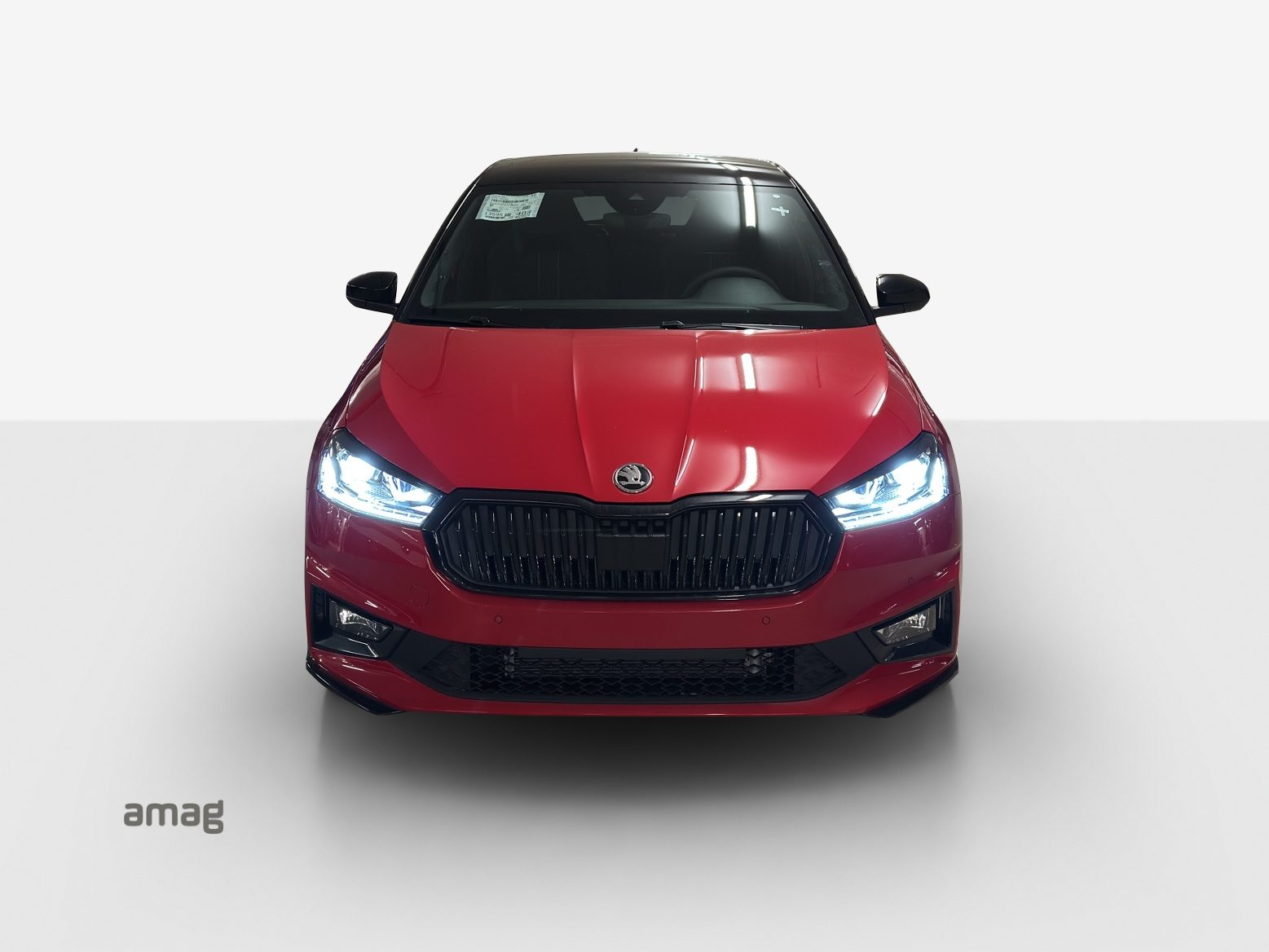 SKODA Fabia Monte Carlo, Essence, Occasion / Utilisé, Automatique - 2