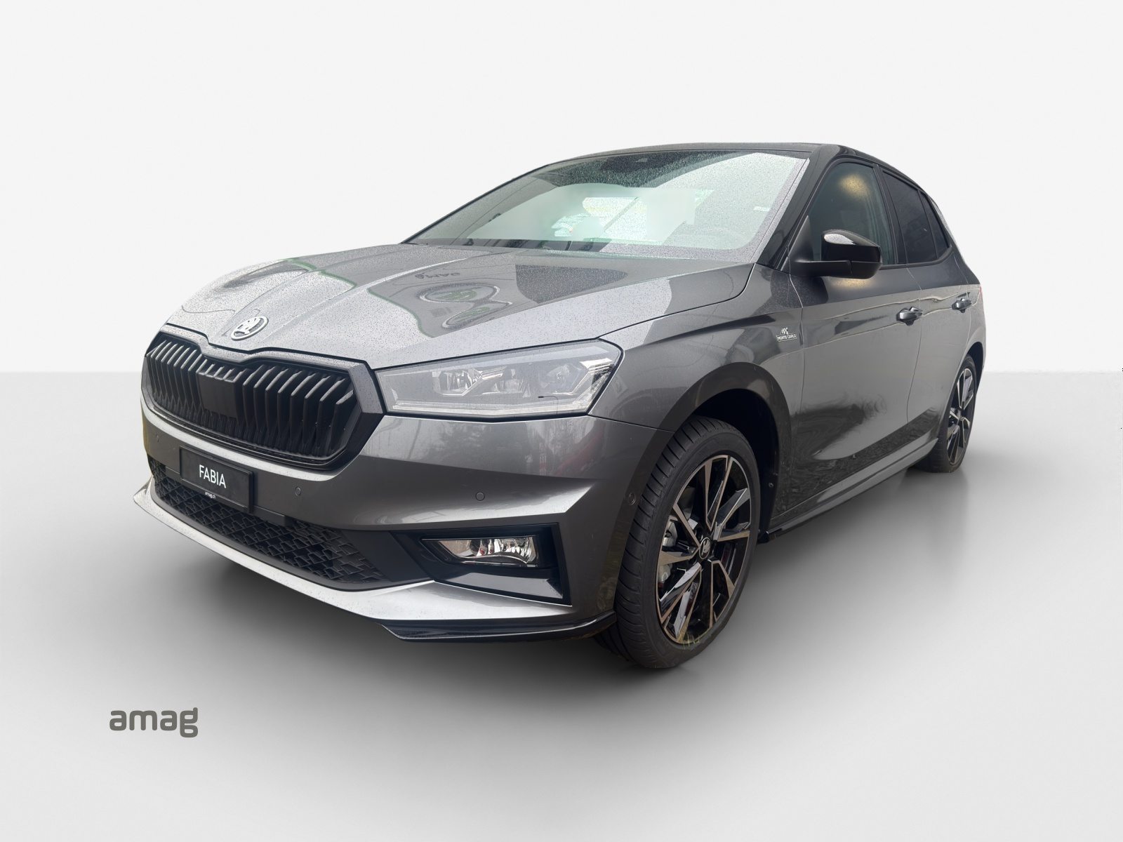 SKODA Fabia Monte Carlo