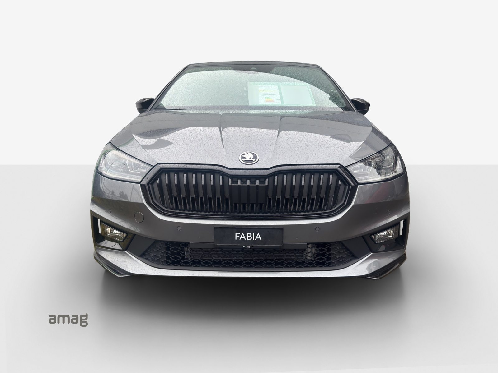 SKODA Fabia Monte Carlo, Benzin, Occasion / Gebraucht, Automatik - 4