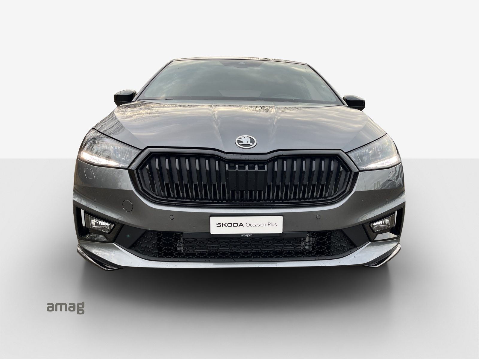 SKODA Fab. 1.0 TSI Mon. Car DSG, Petrol, Second hand / Used, Automatic - 7