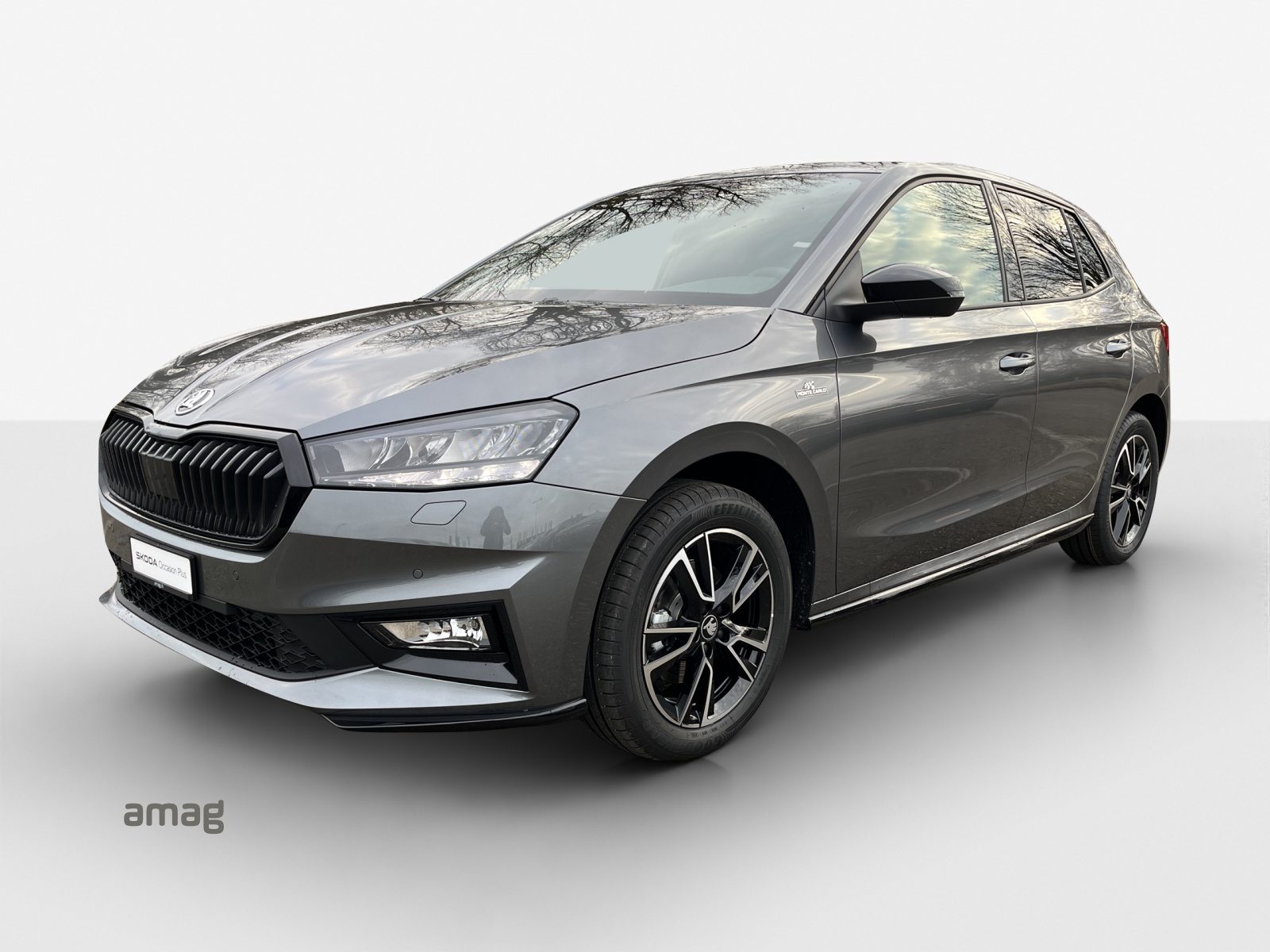 SKODA Fab. 1.0 TSI Mon. Car DSG, Petrol, Second hand / Used, Automatic