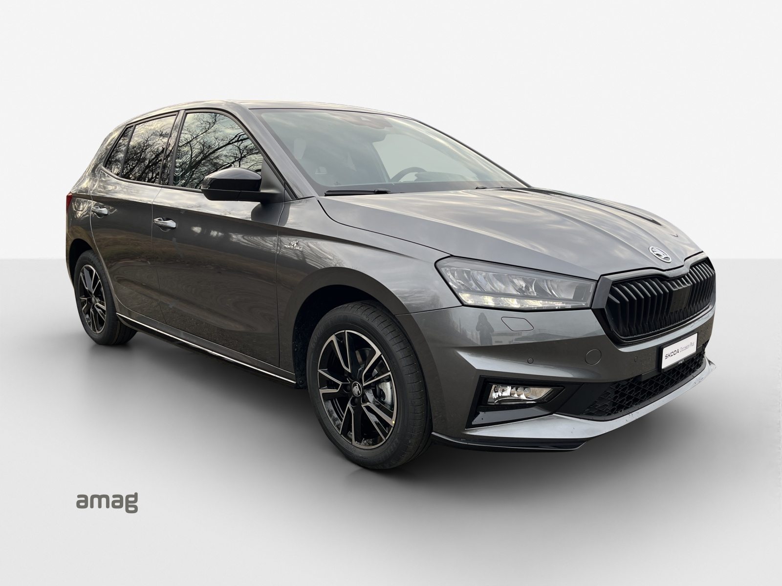 SKODA Fab. 1.0 TSI Mon. Car DSG, Petrol, Second hand / Used, Automatic - 6