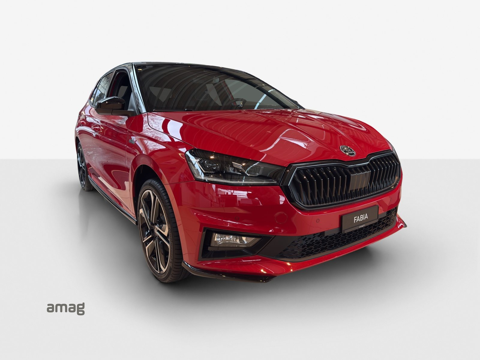SKODA Fabia Monte Carlo, Benzina, Occasioni / Usate, Automatico - 6