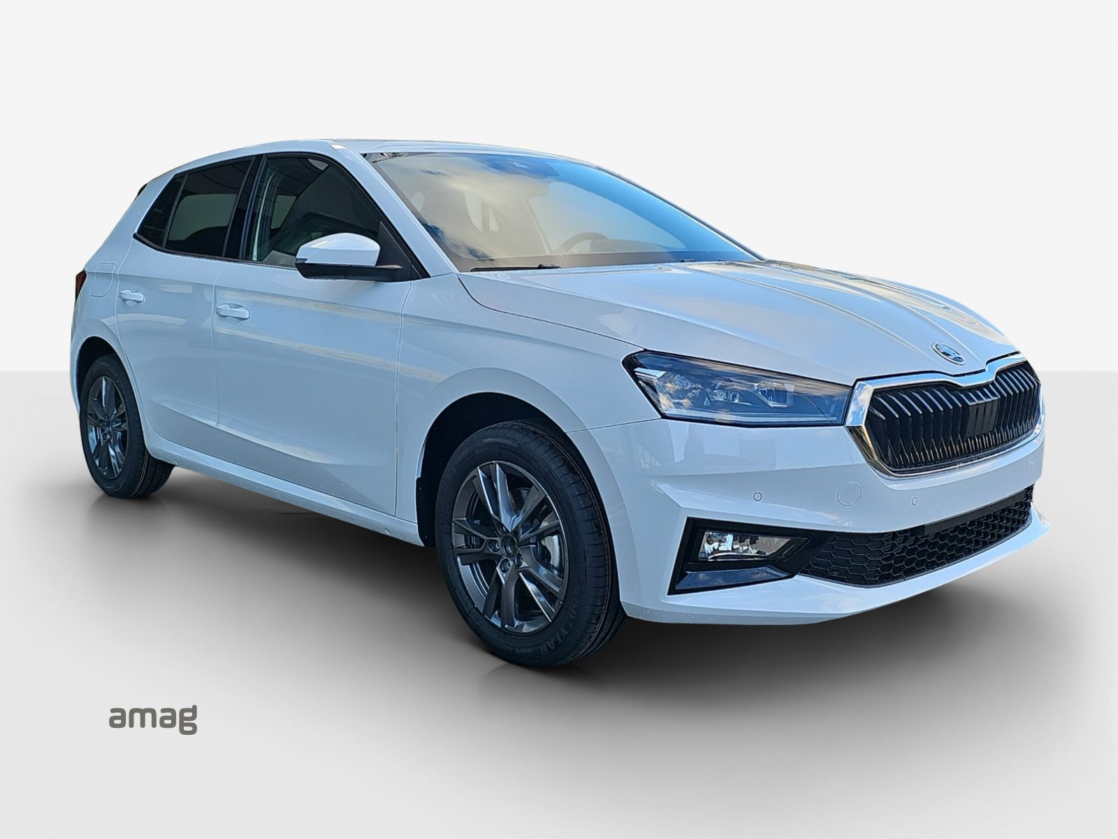 SKODA Fabia Dynamic (Netto), Essence, Occasion / Utilisé, Automatique - 6