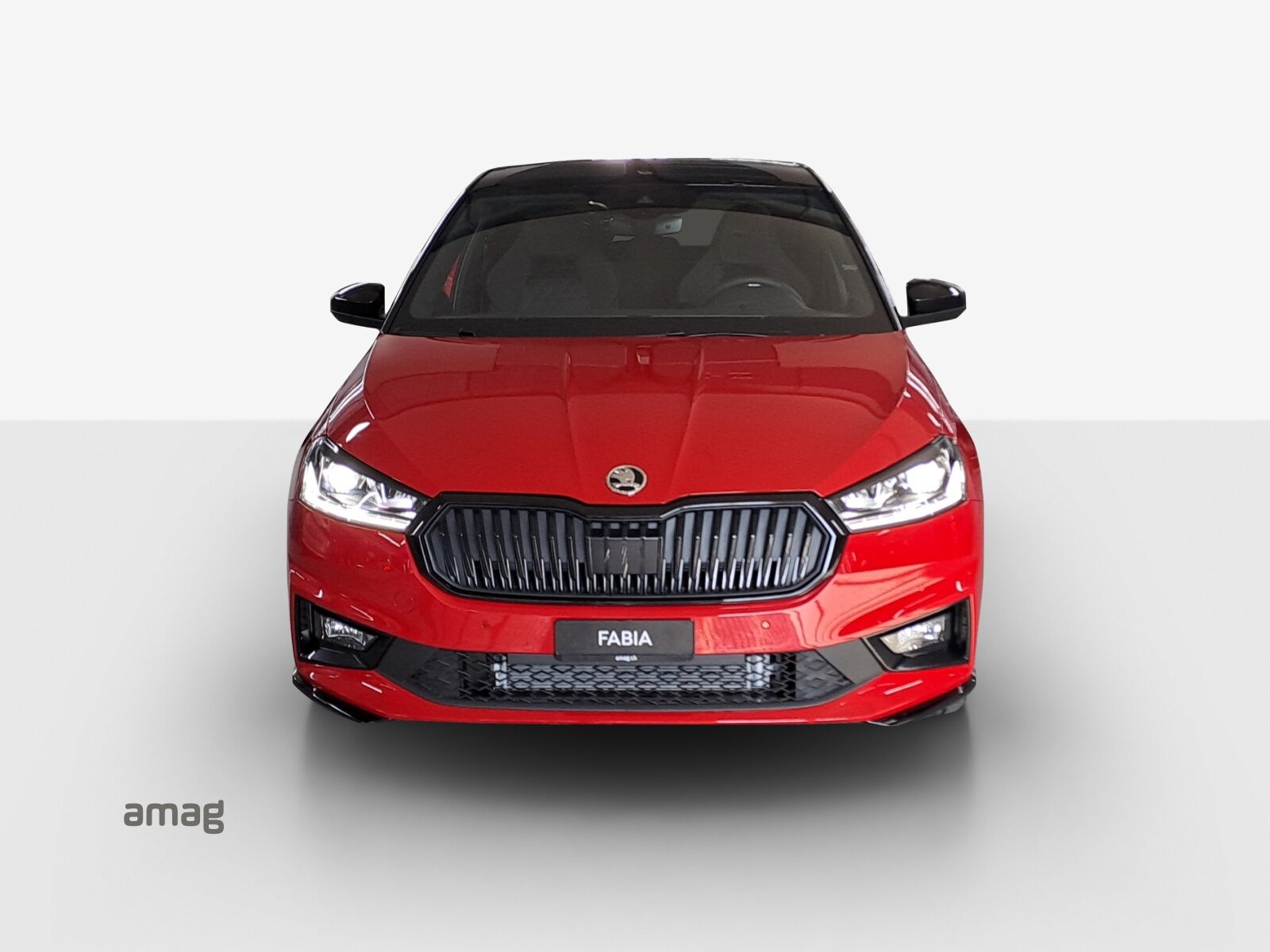 SKODA Fabia Monte Carlo, Benzin, Occasion / Gebraucht, Automatik - 7