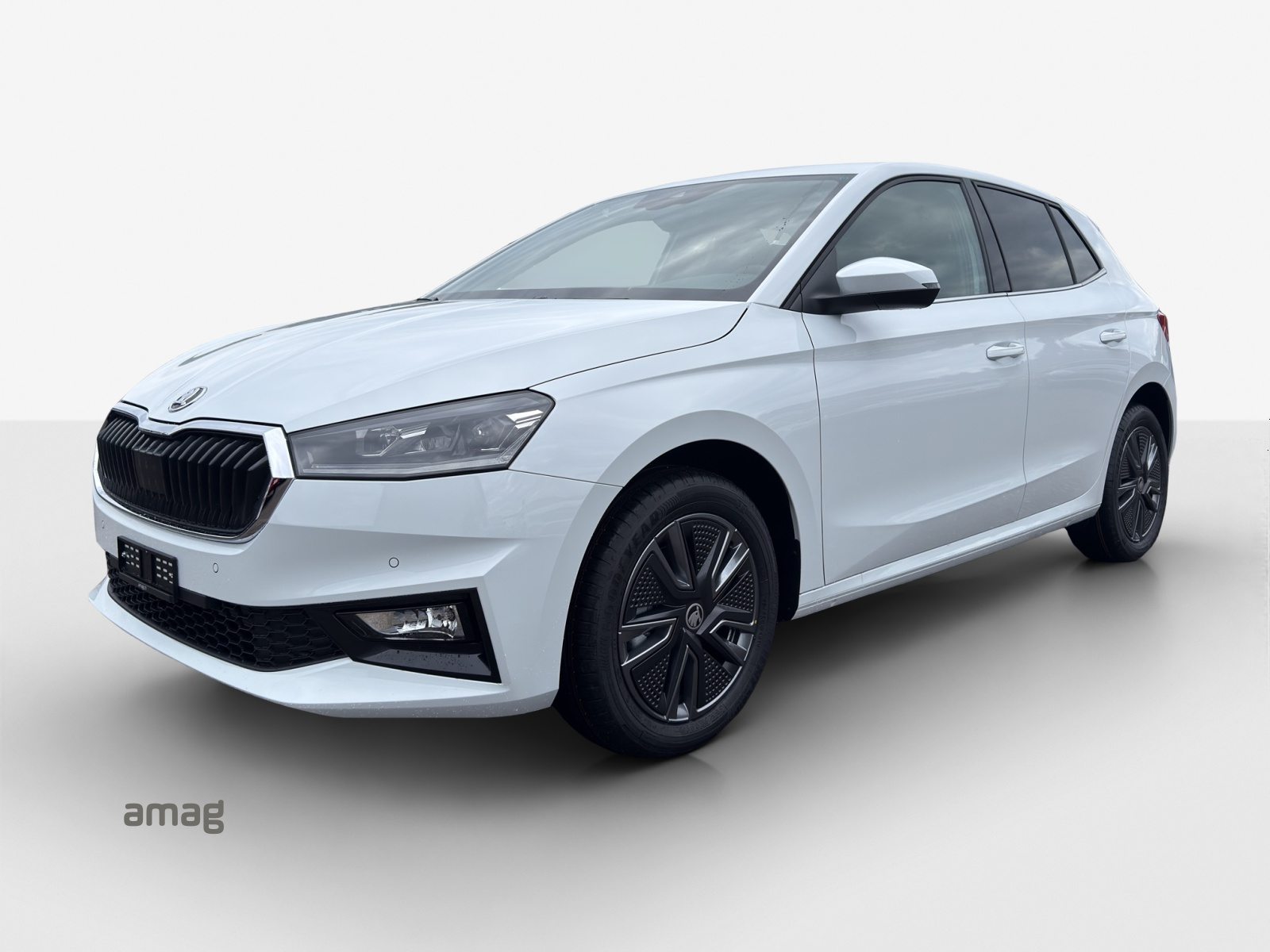 SKODA Fabia Dynamic (Netto)