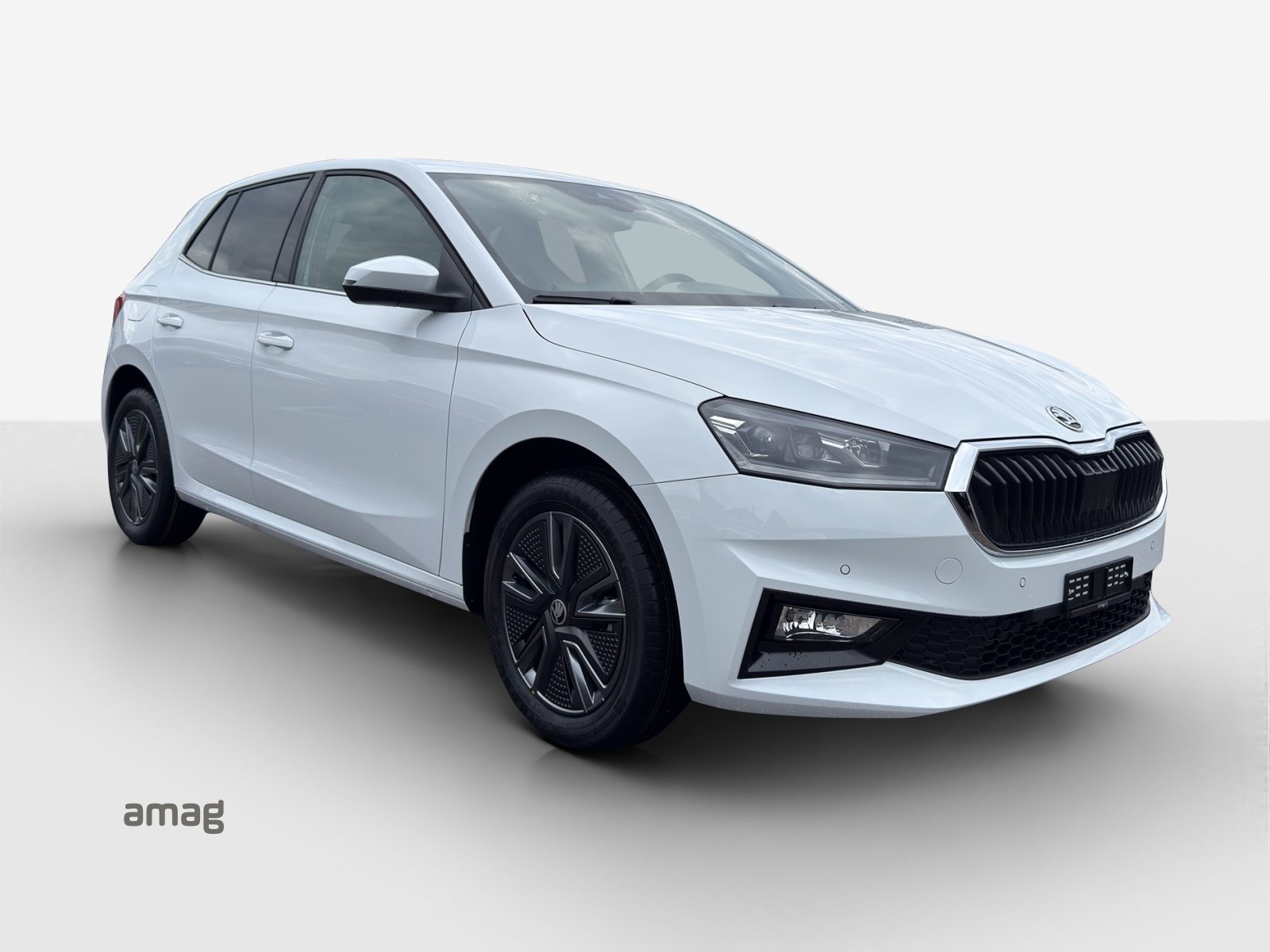SKODA Fabia Dynamic (Netto), Benzina, Occasioni / Usate, Automatico - 6