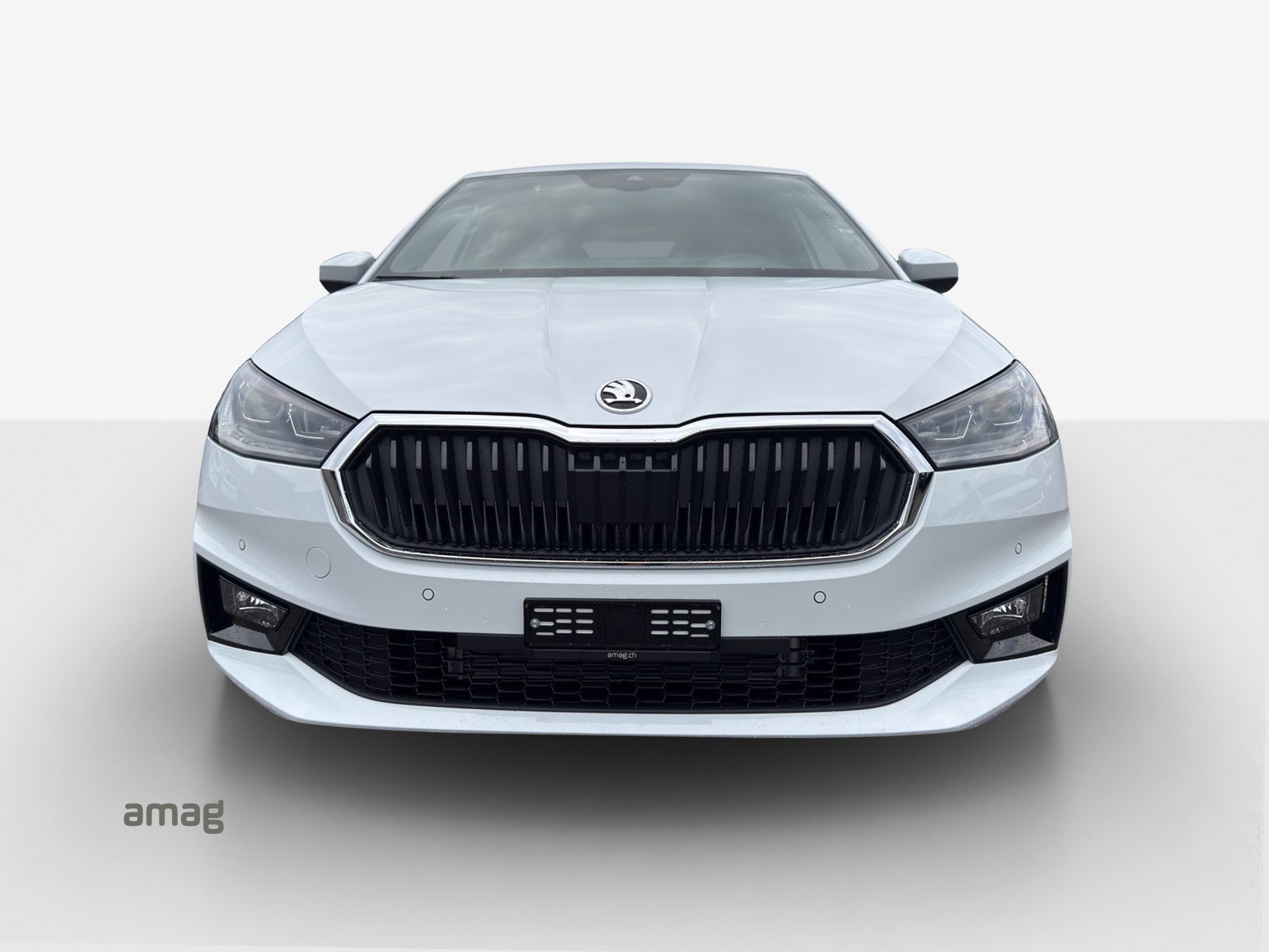 SKODA Fabia Dynamic (Netto), Benzina, Occasioni / Usate, Automatico - 7