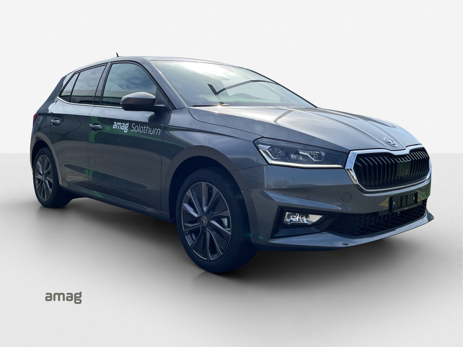 SKODA Fabia Dynamic (Netto), Benzina, Occasioni / Usate, Automatico - 6