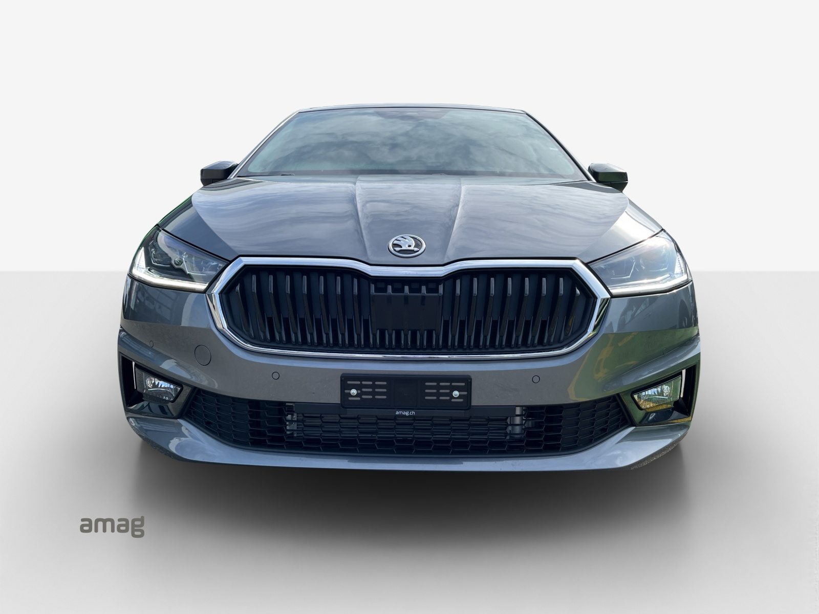 SKODA Fabia Dynamic (Netto), Benzina, Occasioni / Usate, Automatico - 7