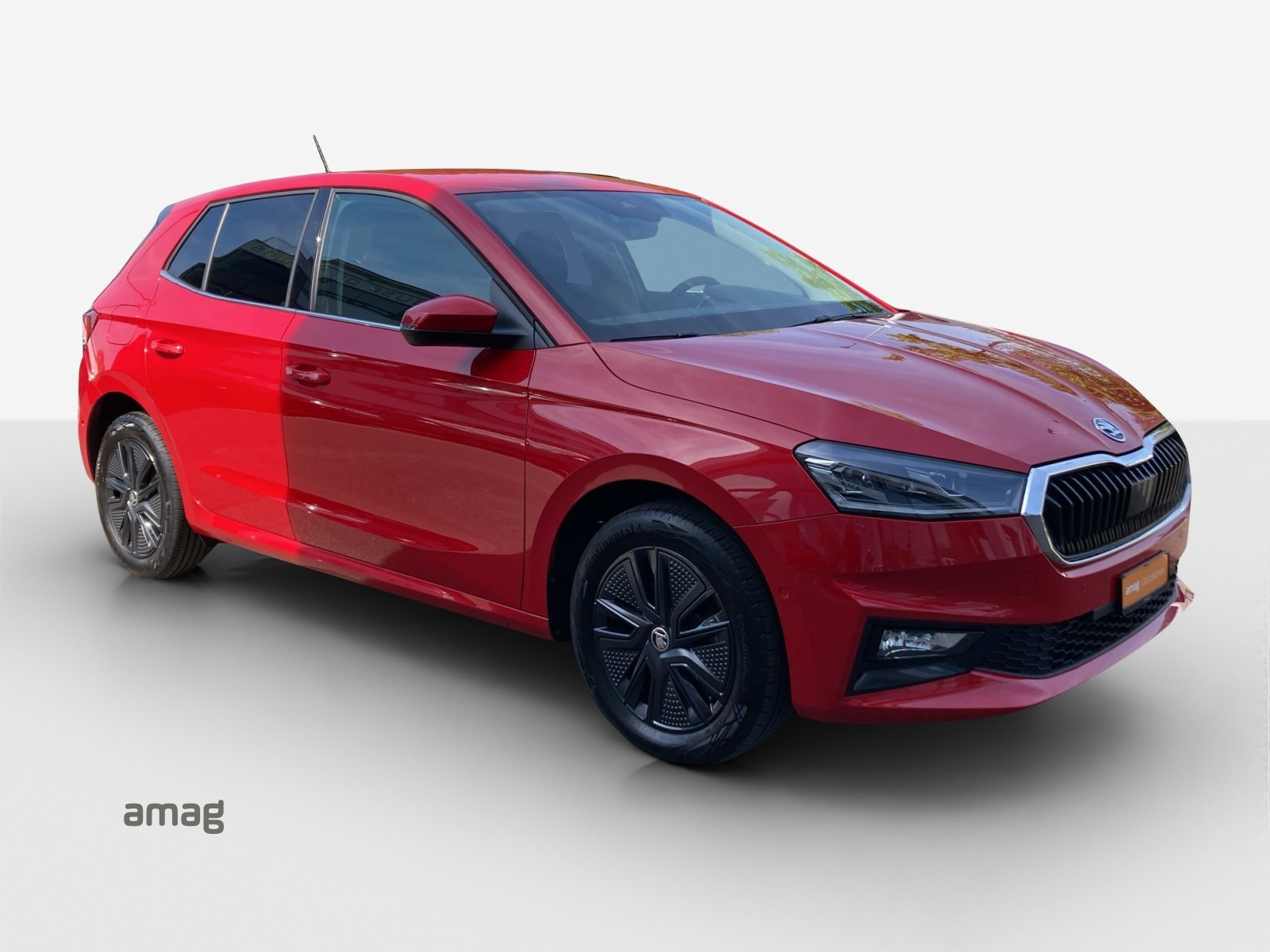 SKODA FABIA Style, Benzina, Occasioni / Usate, Automatico - 6