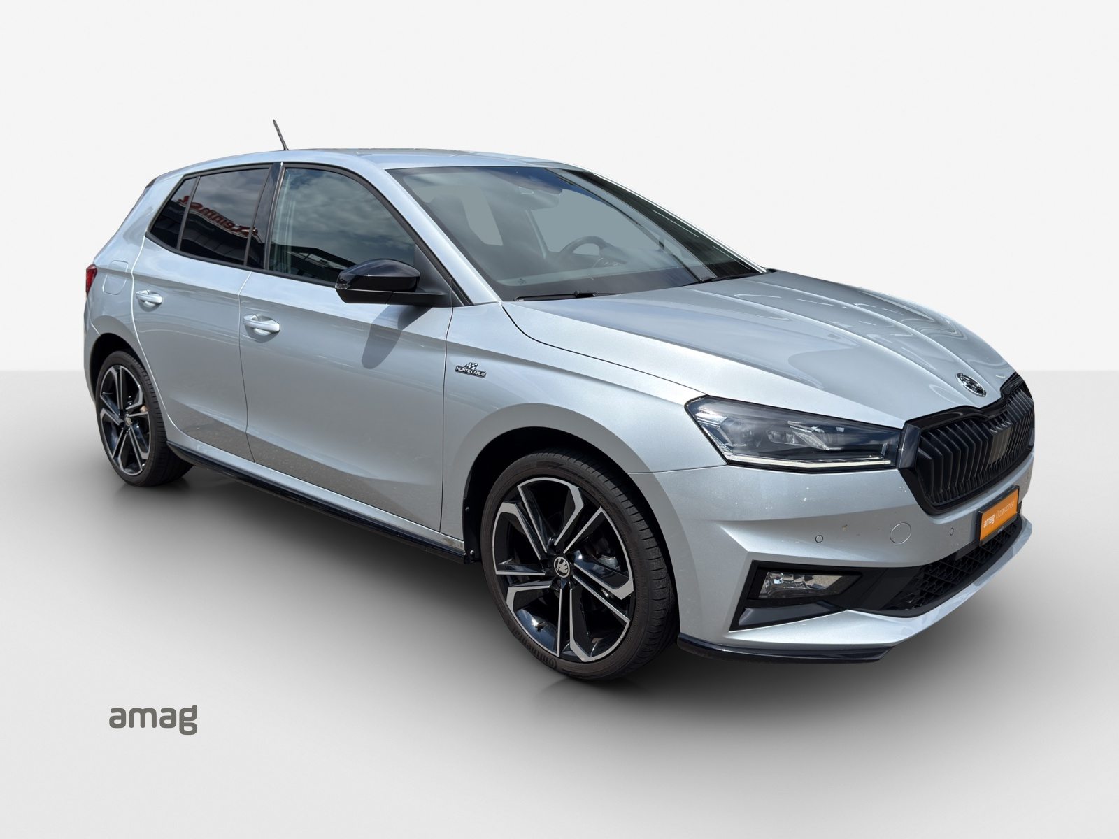 SKODA Fabia Monte Carlo, Benzina, Occasioni / Usate, Automatico - 6