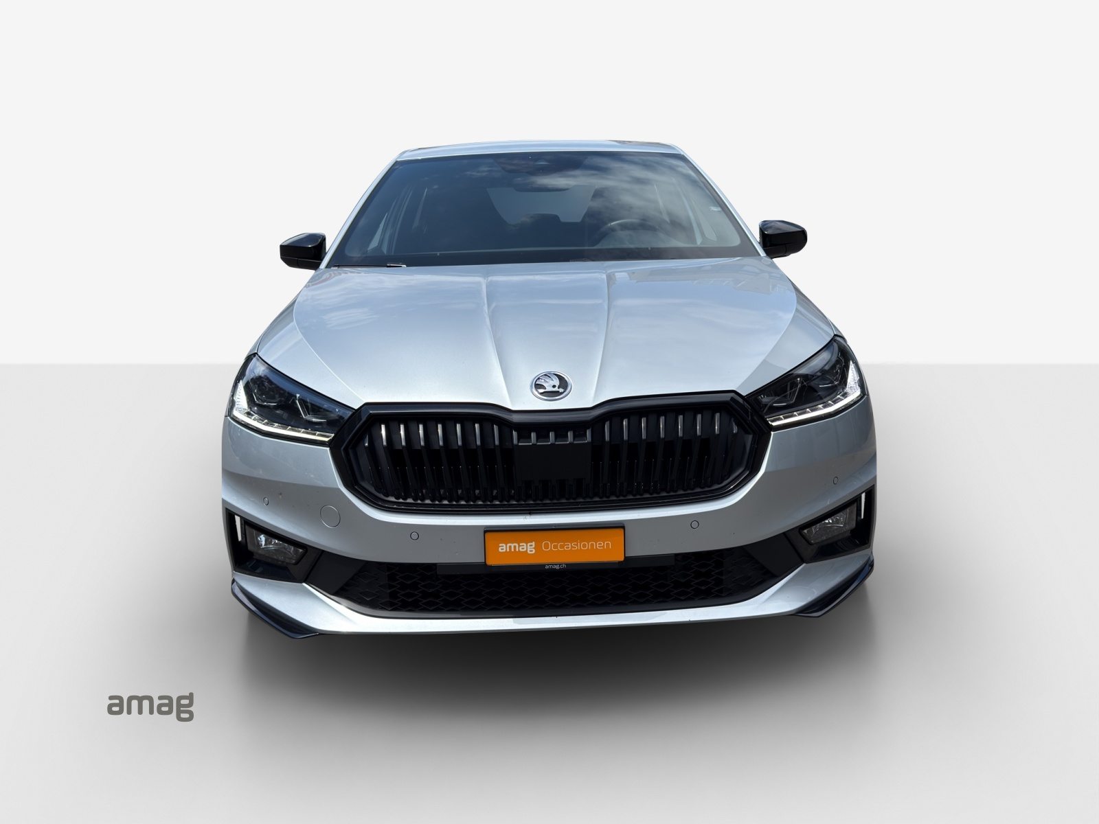 SKODA Fabia Monte Carlo, Benzina, Occasioni / Usate, Automatico - 7