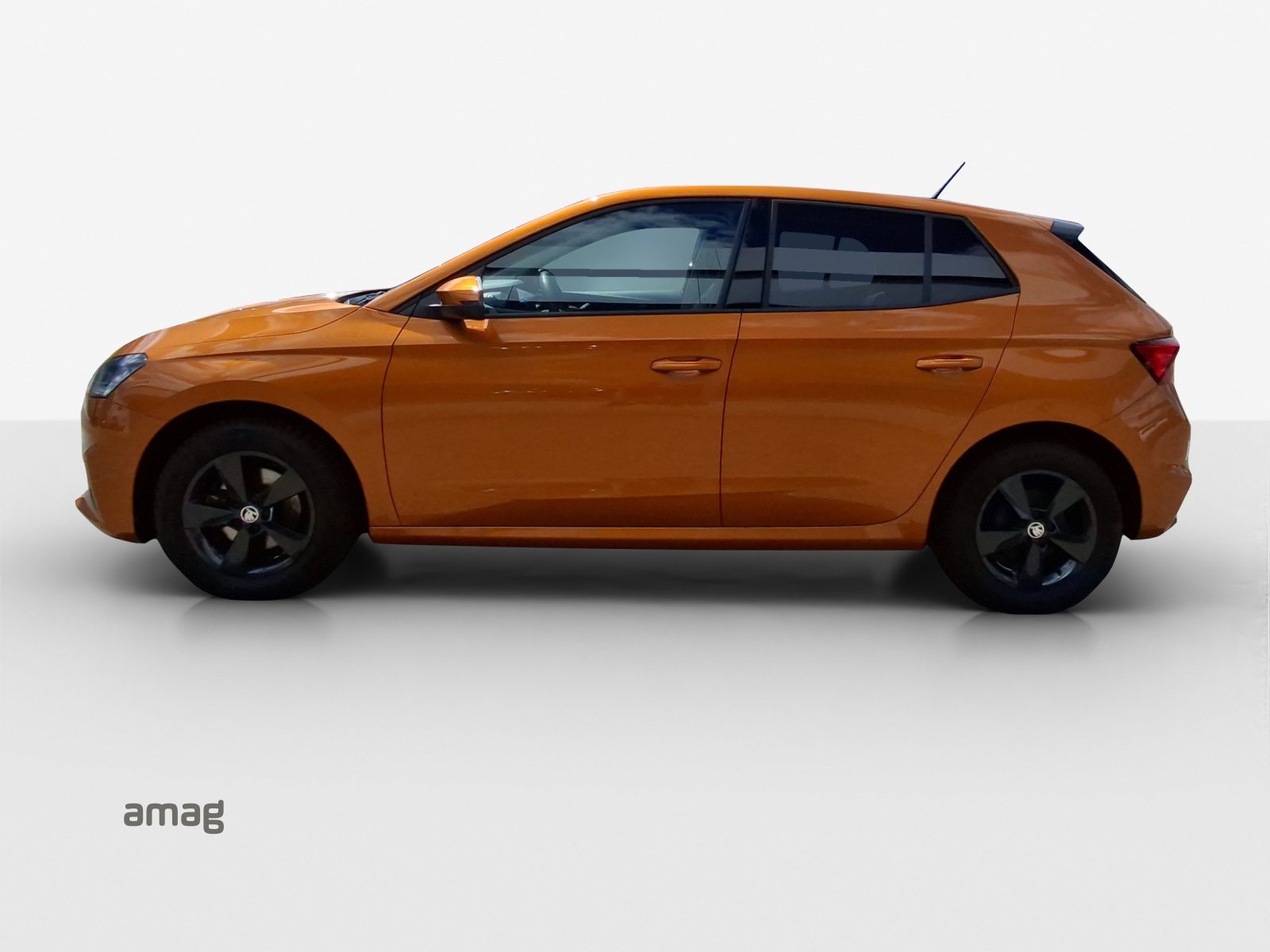 SKODA Fabia Ambition, Benzina, Occasioni / Usate, Automatico - 2