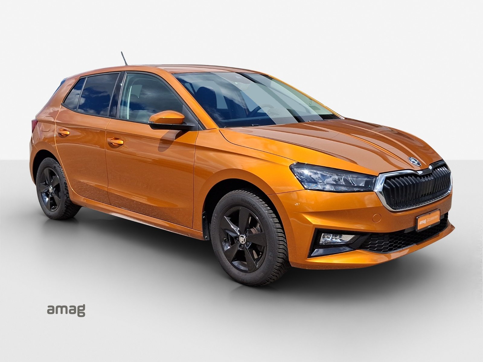 SKODA Fabia Ambition, Benzina, Occasioni / Usate, Automatico - 6