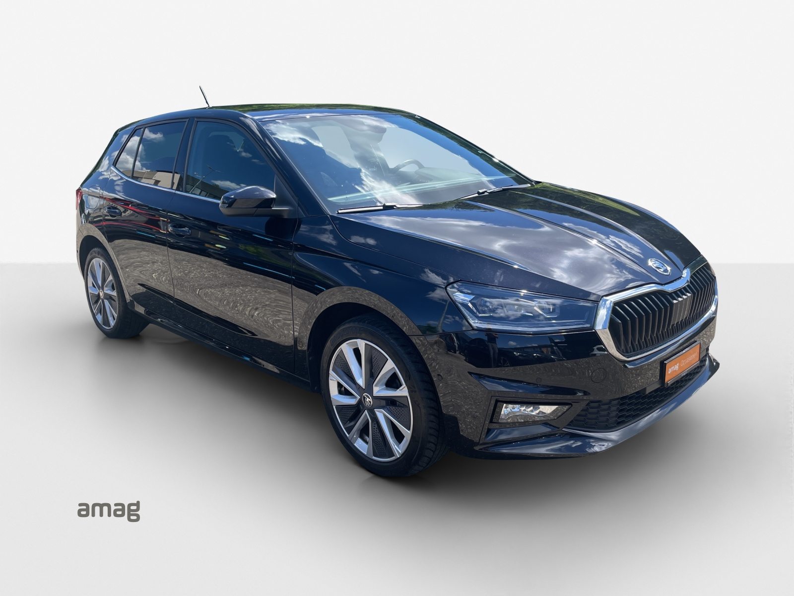 SKODA Fab. 1.0 TSI Style DSG, Benzina, Occasioni / Usate, Automatico - 6