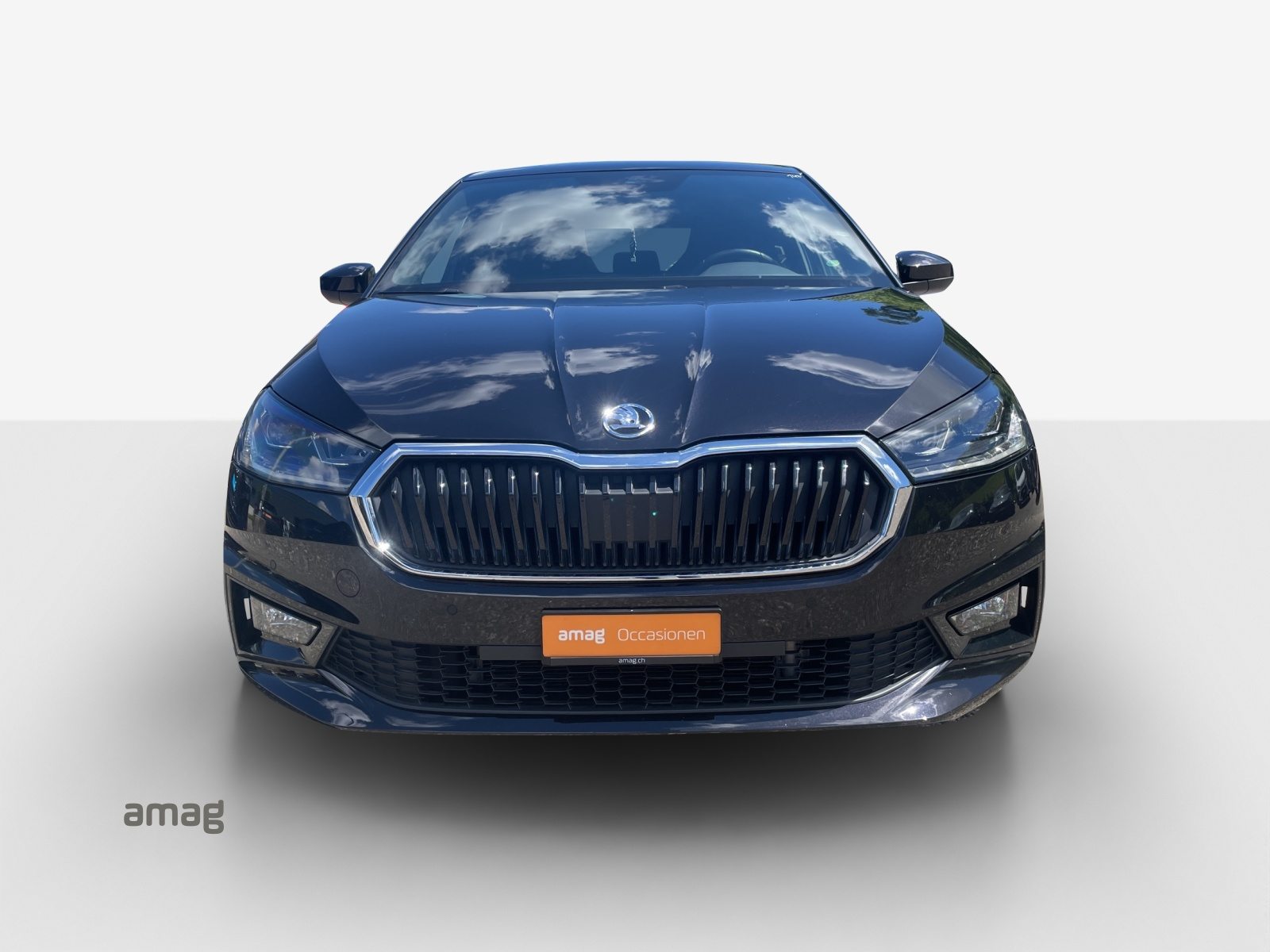 SKODA Fab. 1.0 TSI Style DSG, Benzina, Occasioni / Usate, Automatico - 7
