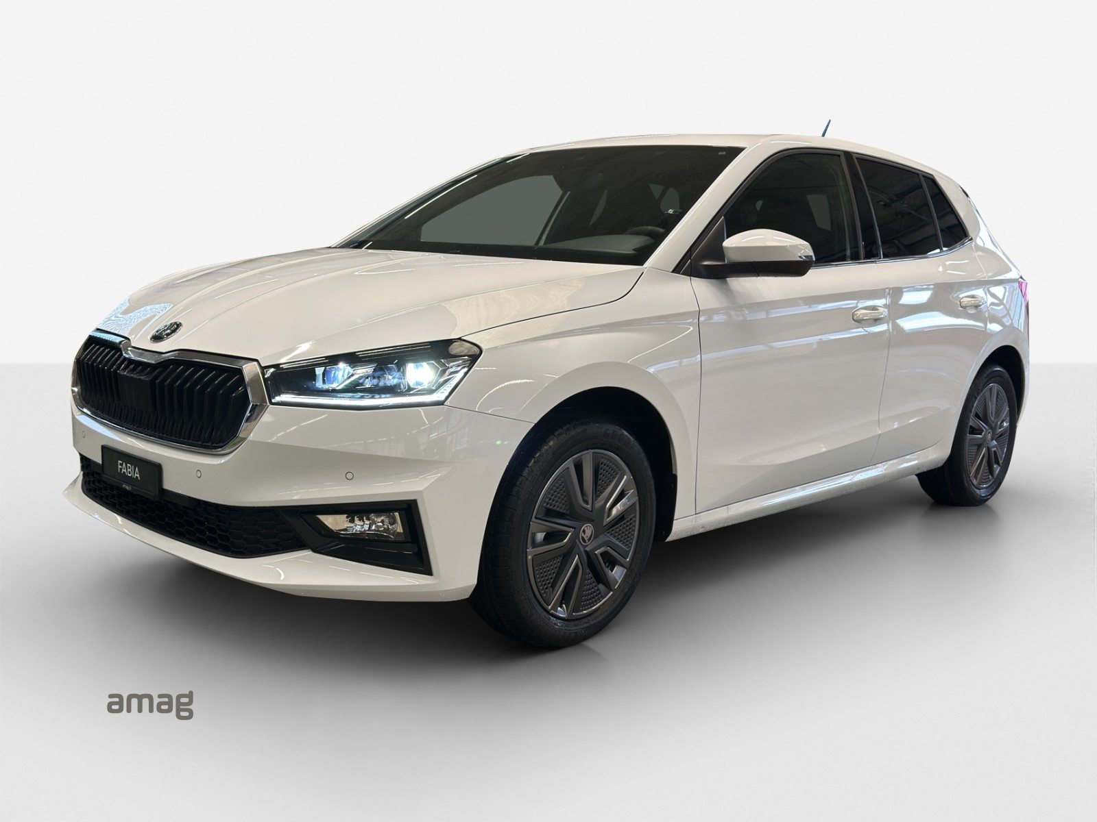 SKODA Fabia Dynamic (Netto)