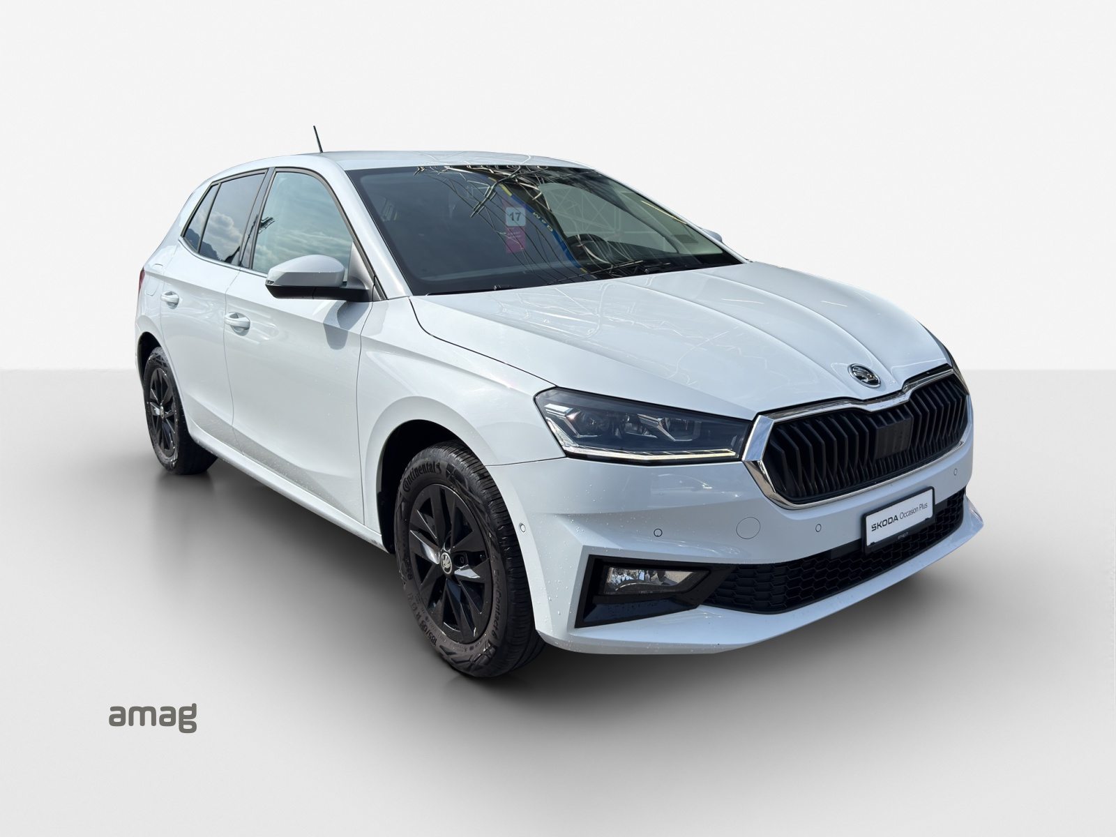 SKODA FABIA Style, Benzina, Occasioni / Usate, Automatico - 6