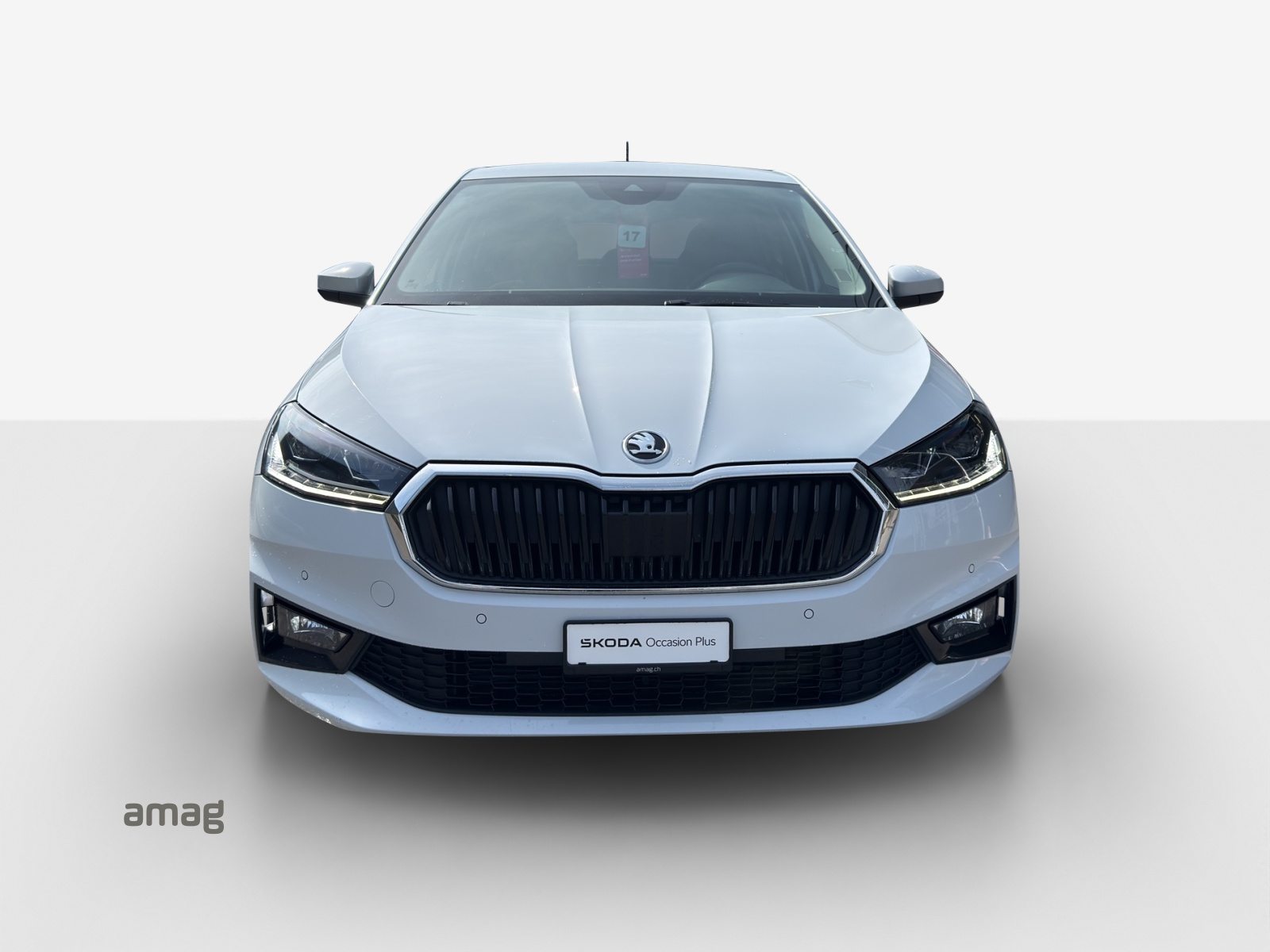 SKODA FABIA Style, Benzina, Occasioni / Usate, Automatico - 7