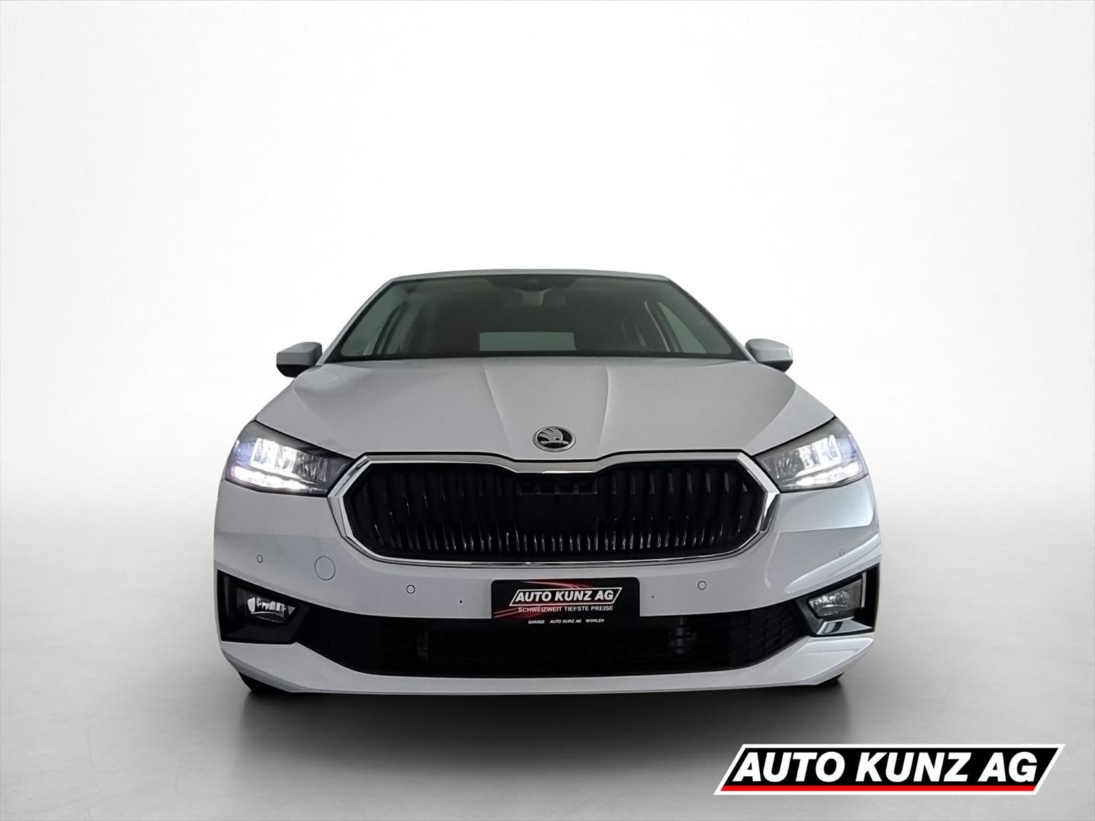 SKODA Fabia 1.0 TSI Selection *5Jahre Garantie*, Petrol, Second hand / Used, Automatic - 2