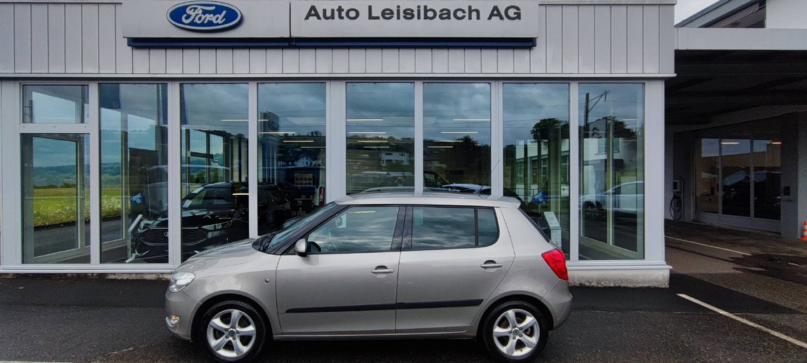 SKODA Fabia 1.2 TSI Ambiente, Petrol, Second hand / Used, Manual - 5