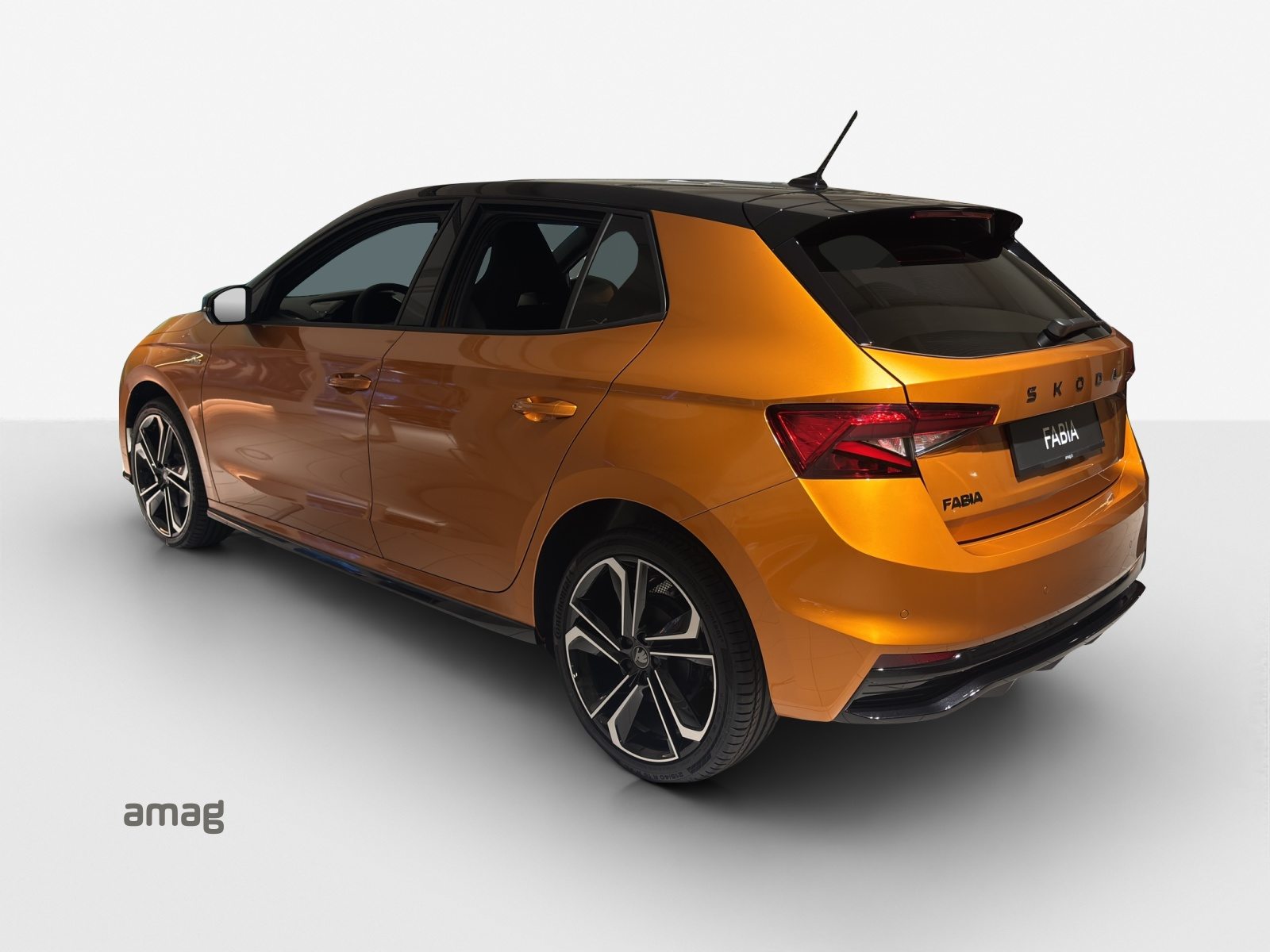 SKODA Fabia Monte Carlo, Benzina, Occasioni / Usate, Automatico - 2