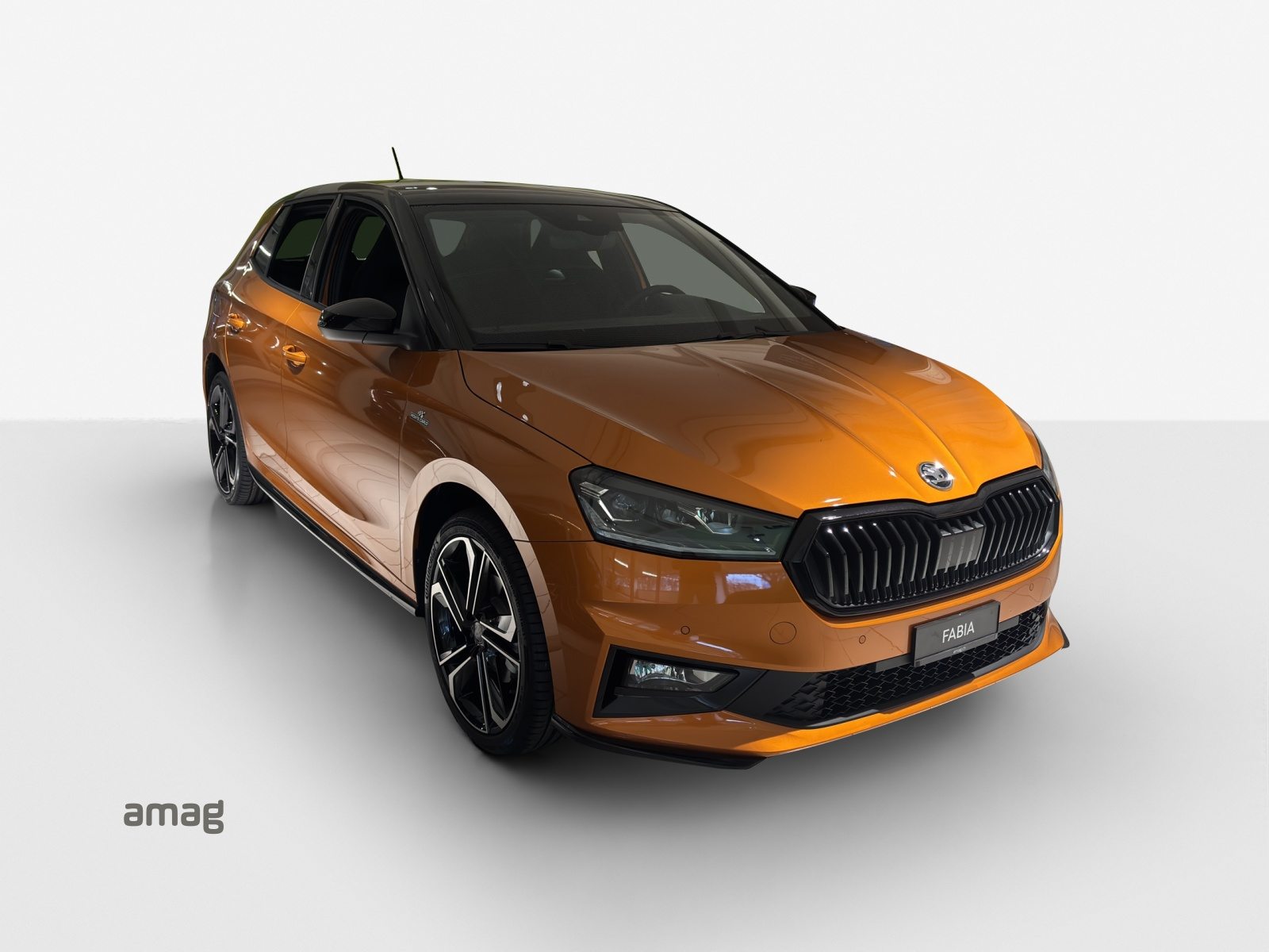 SKODA Fabia Monte Carlo, Benzina, Occasioni / Usate, Automatico - 5