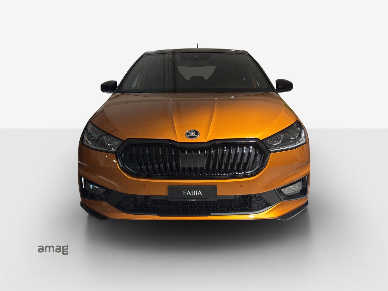 SKODA Fabia Monte Carlo, Benzina, Occasioni / Usate, Automatico - 6