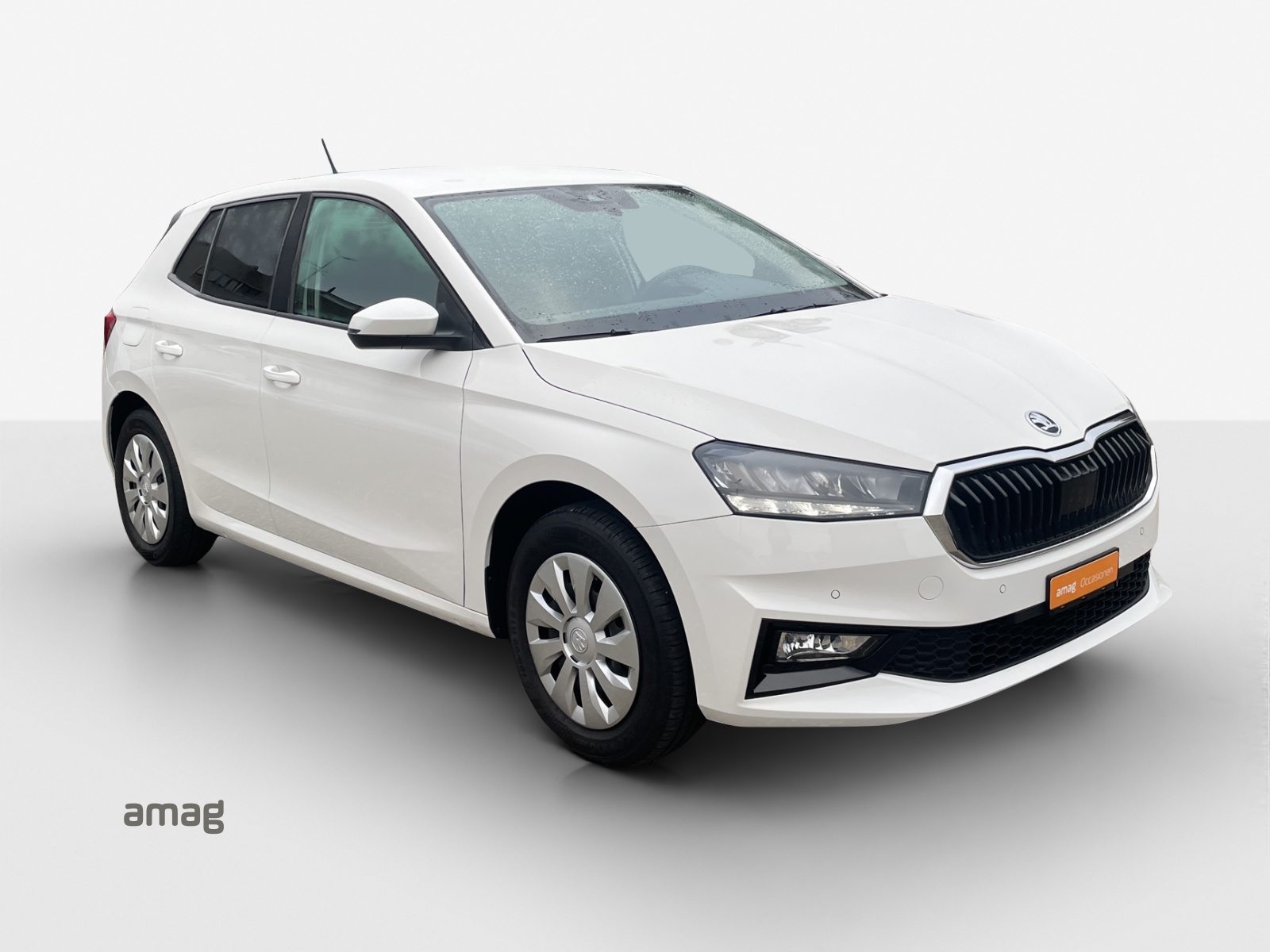 SKODA Fabia Selection, Benzina, Occasioni / Usate, Manuale - 6