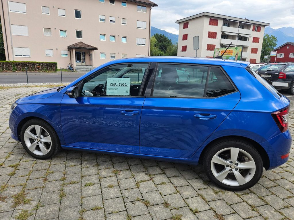 SKODA 1.0 TSI Style DSG, Petrol, Second hand / Used, Automatic - 5