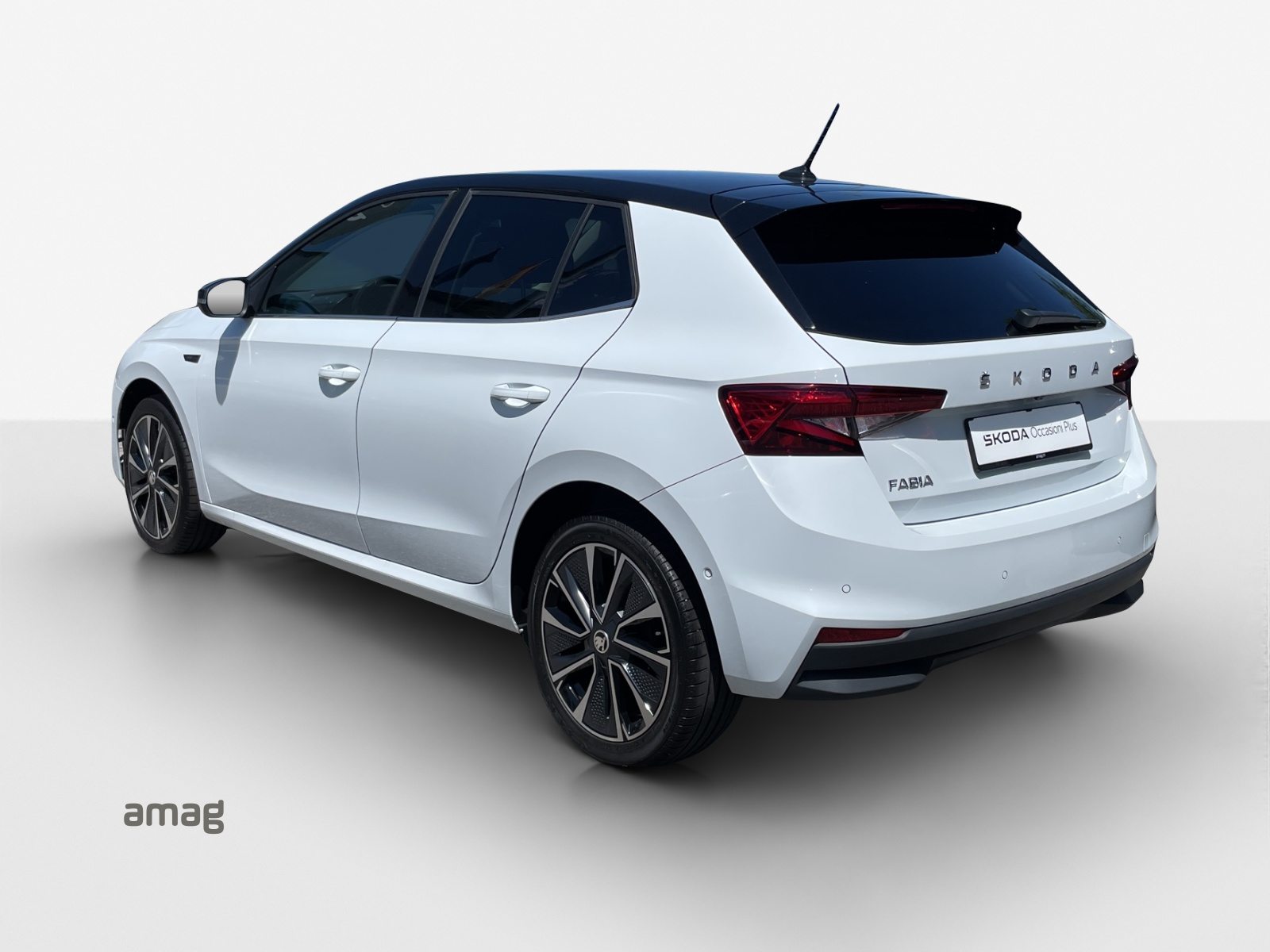 SKODA FABIA First Edition, Benzina, Occasioni / Usate, Manuale - 3