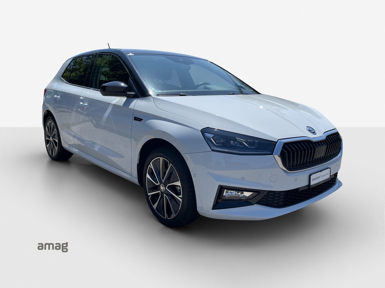 SKODA FABIA First Edition, Benzina, Occasioni / Usate, Manuale - 6