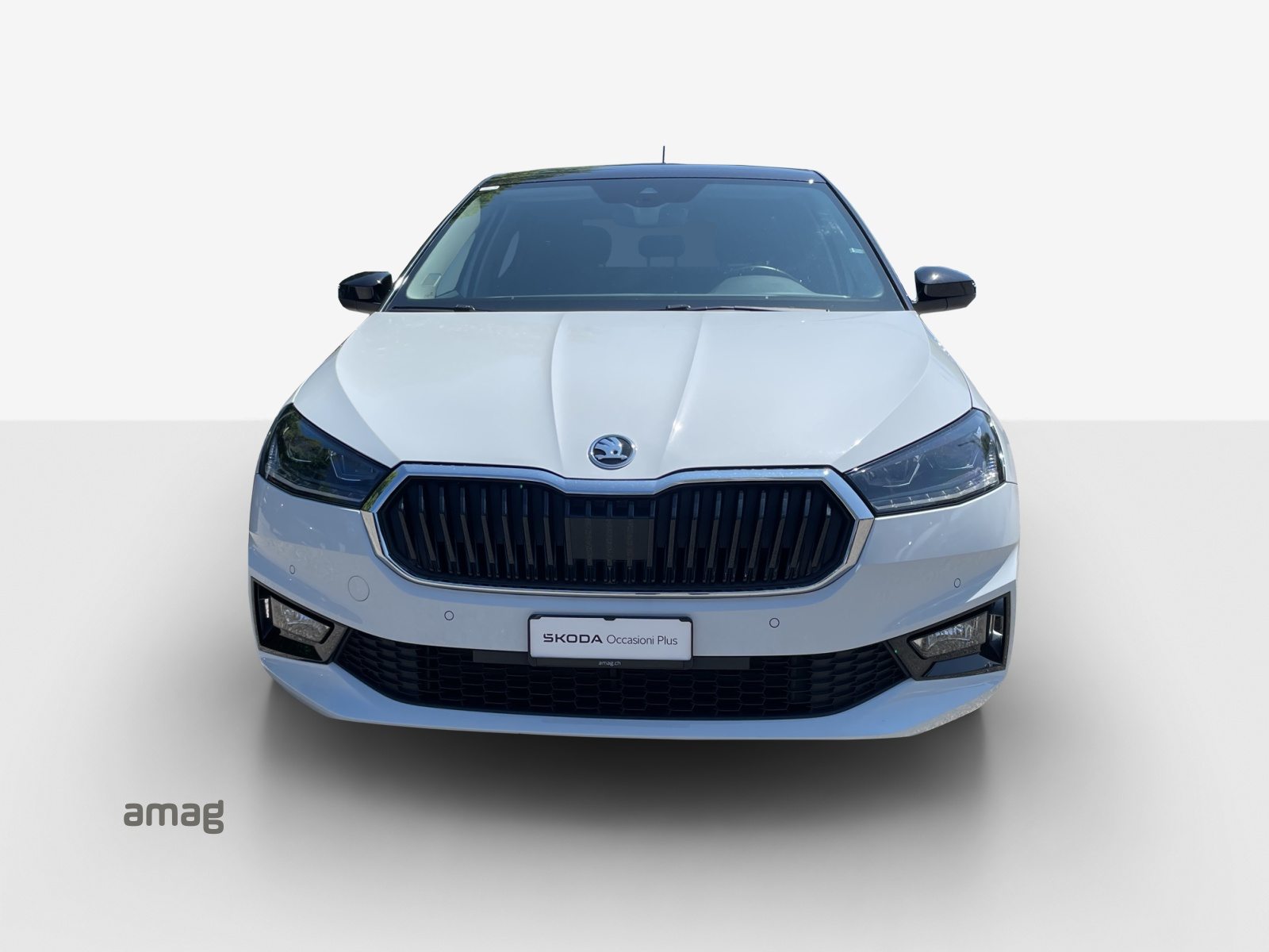 SKODA FABIA First Edition, Benzina, Occasioni / Usate, Manuale - 7
