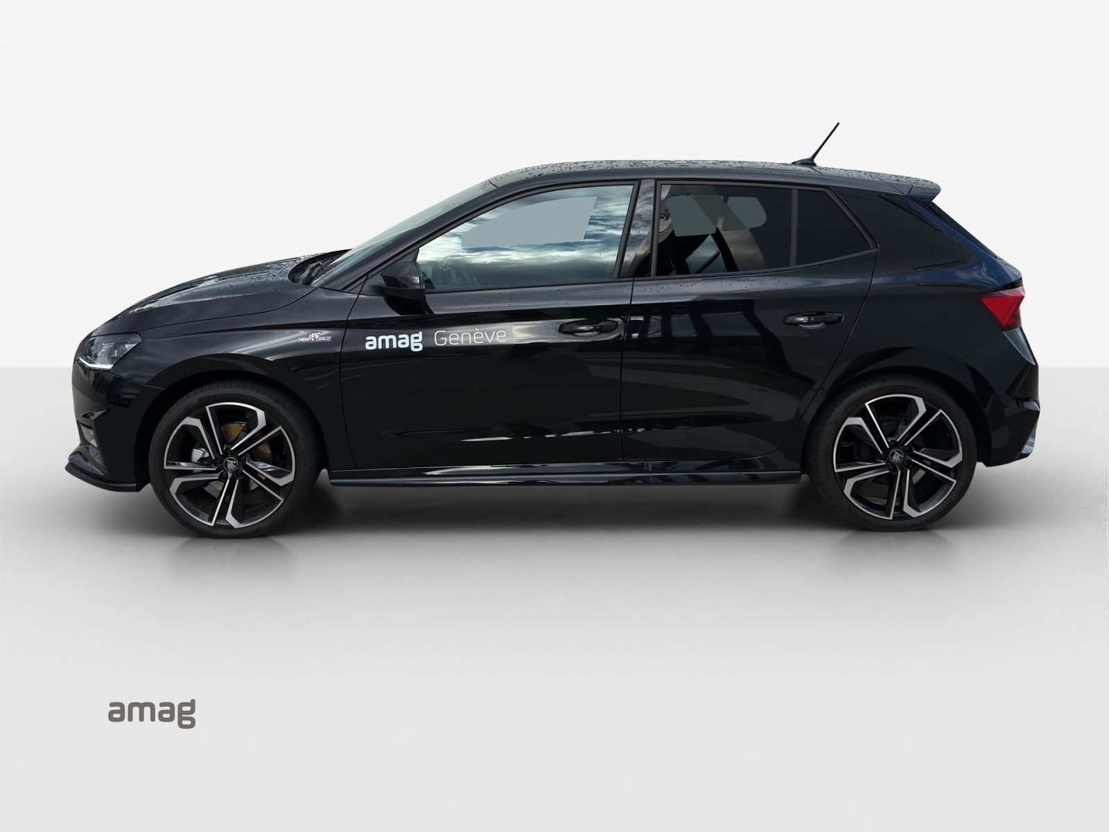 SKODA Fabia Monte Carlo, Benzina, Occasioni / Usate, Automatico - 2