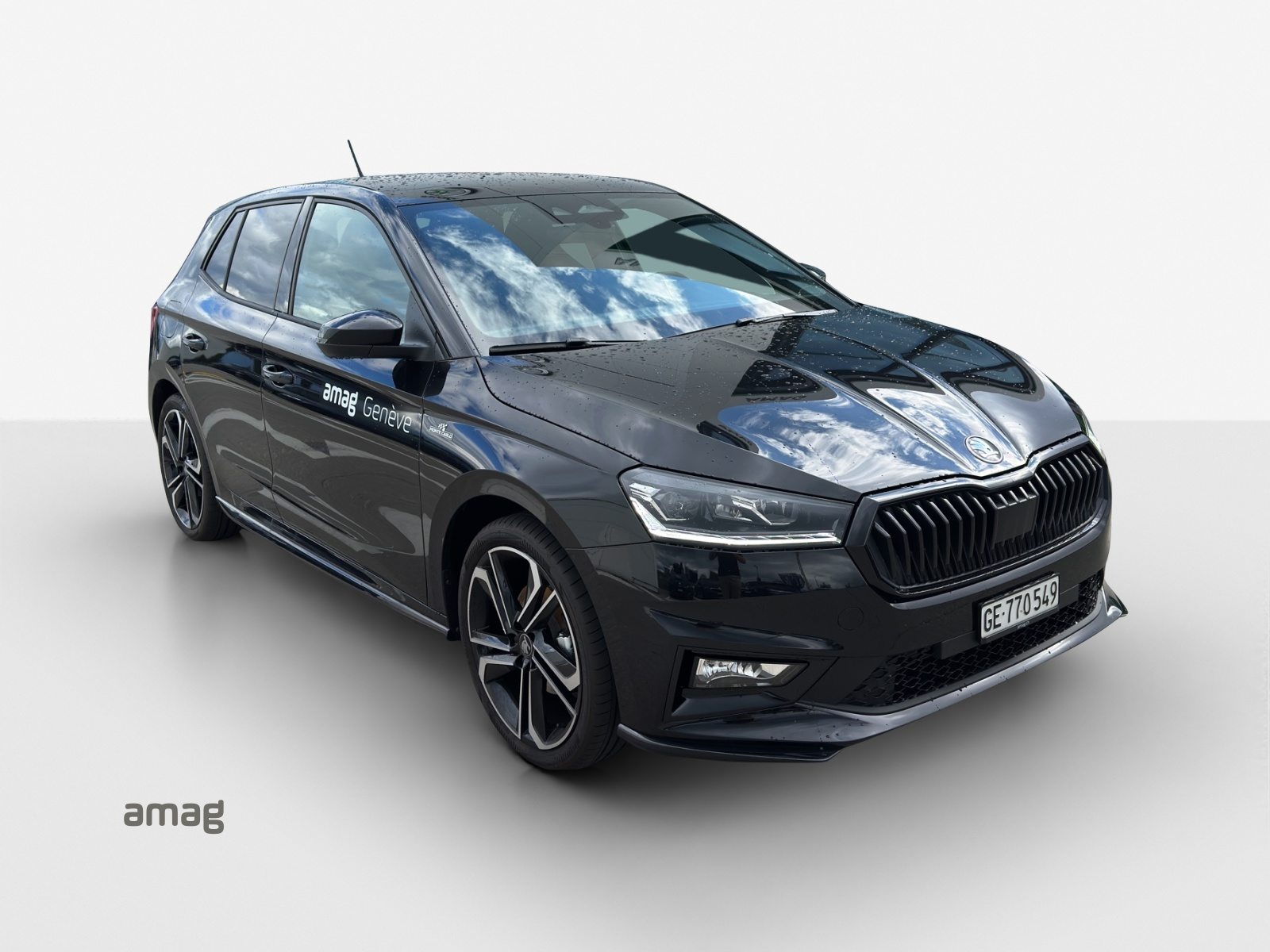 SKODA Fabia Monte Carlo, Benzina, Occasioni / Usate, Automatico - 6