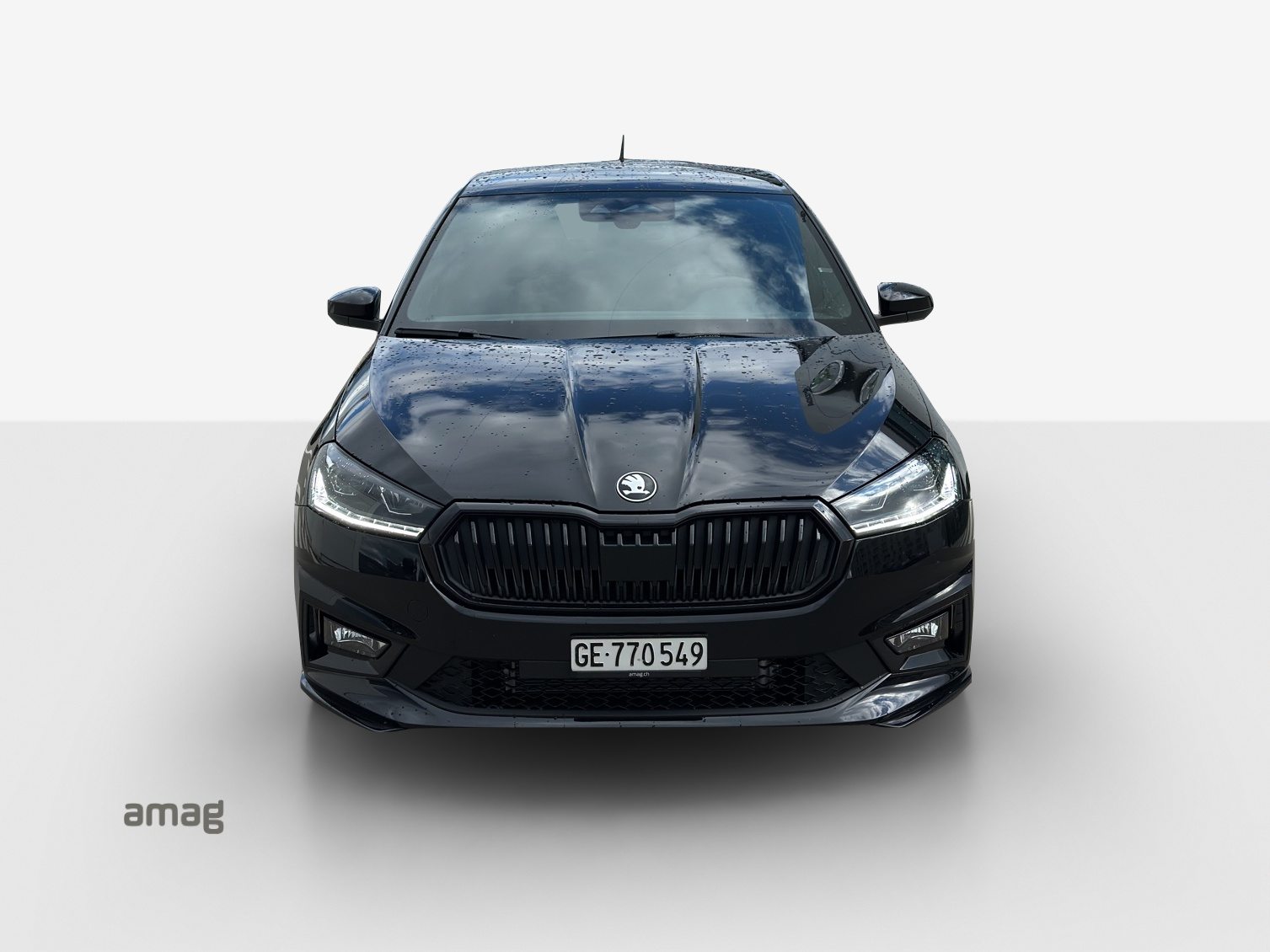 SKODA Fabia Monte Carlo, Benzina, Occasioni / Usate, Automatico - 7